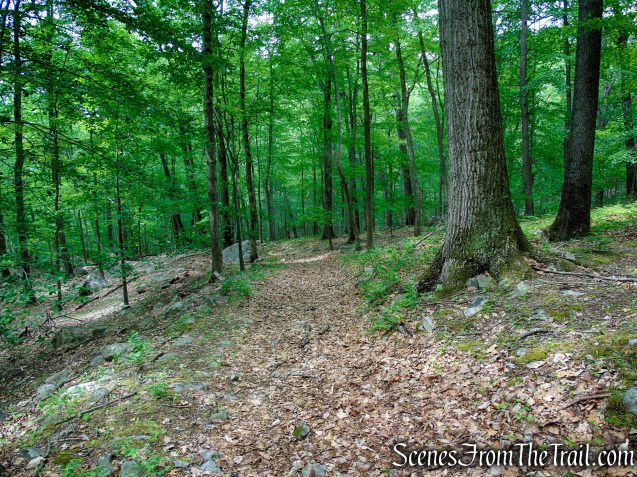 Pittsboro Trail - Harriman State Park