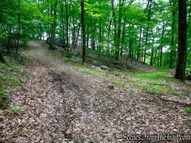 Pittsboro Trail - Harriman State Park