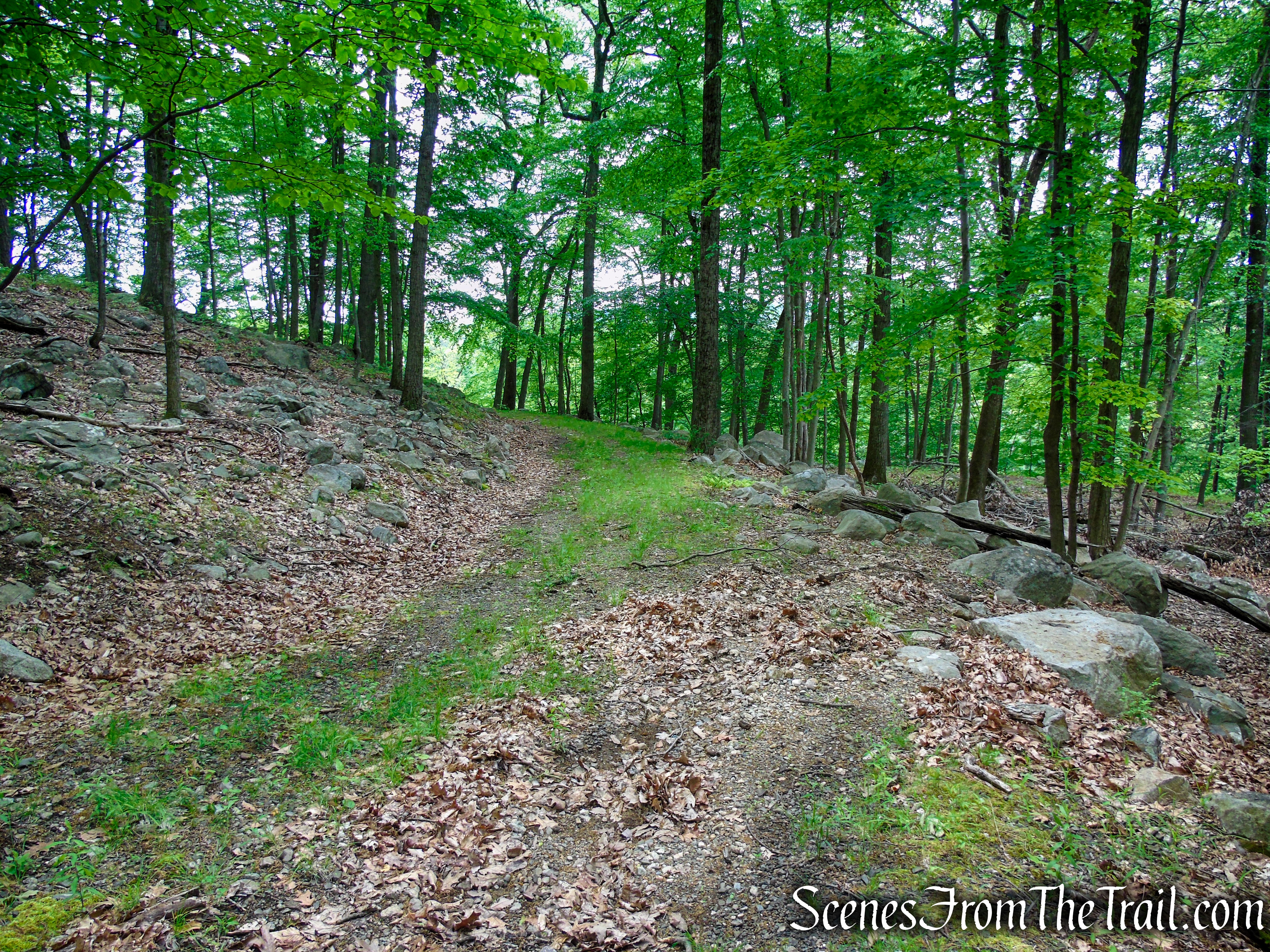 Pittsboro Trail - Harriman State Park