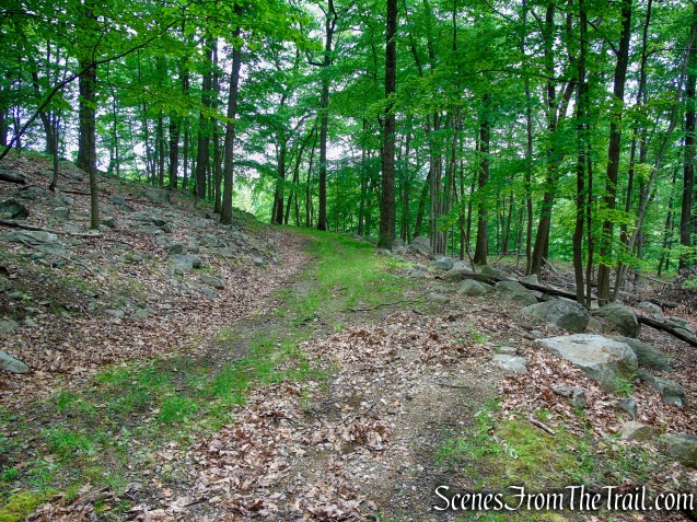 Pittsboro Trail - Harriman State Park