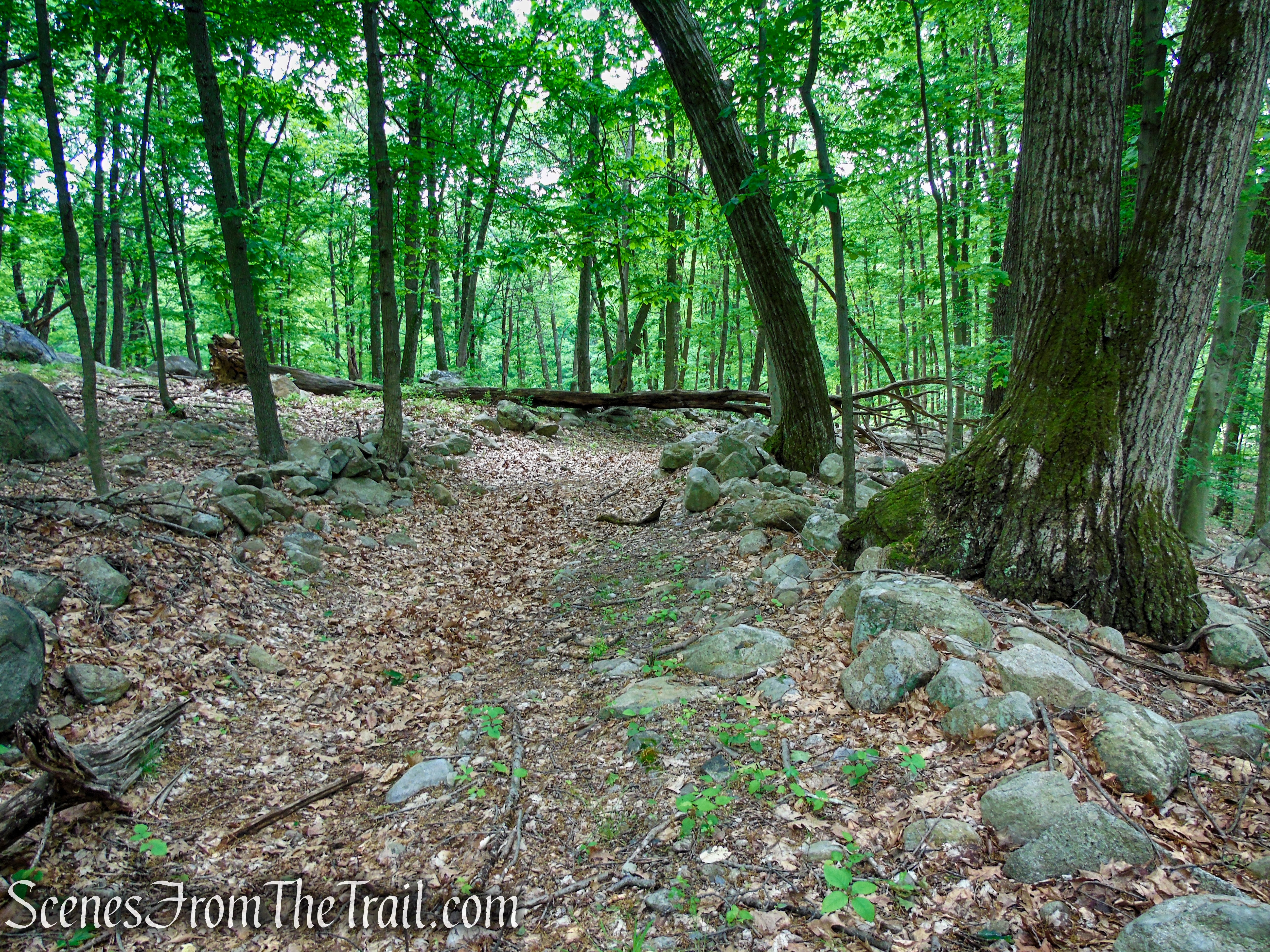 Pittsboro Trail - Harriman State Park