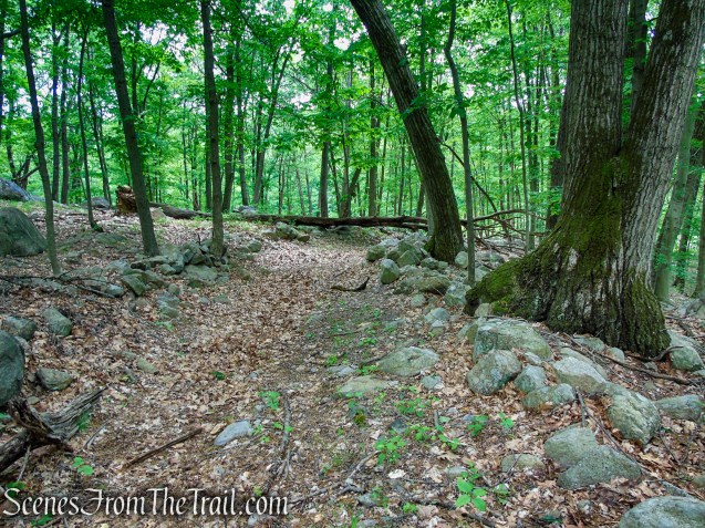 Pittsboro Trail - Harriman State Park