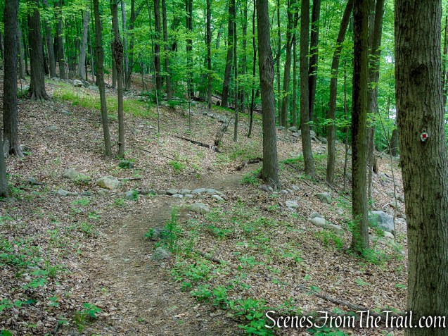 Pine Meadow Trail - Harriman State Park
