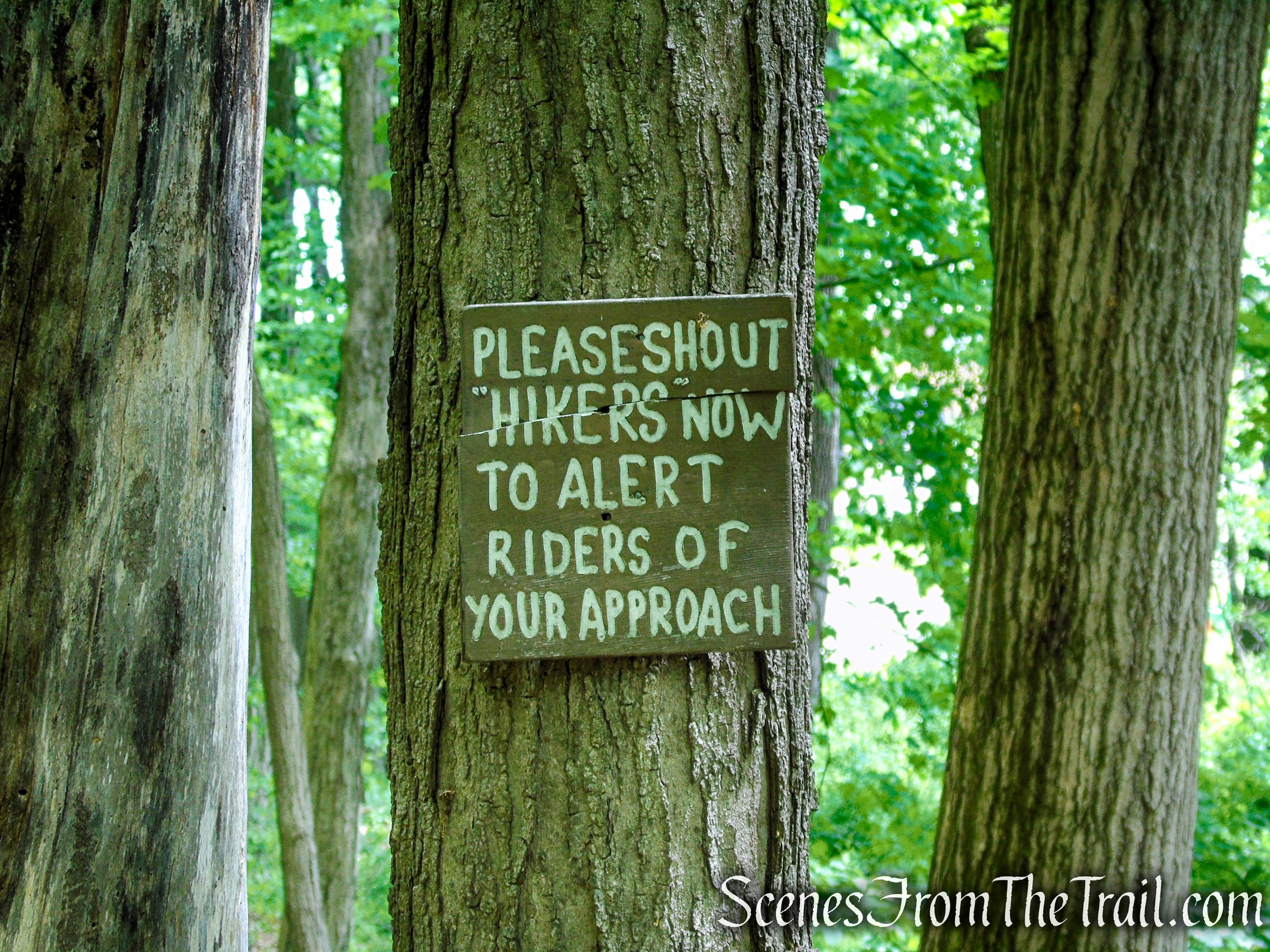 Pine Meadow Trail - Harriman State Park