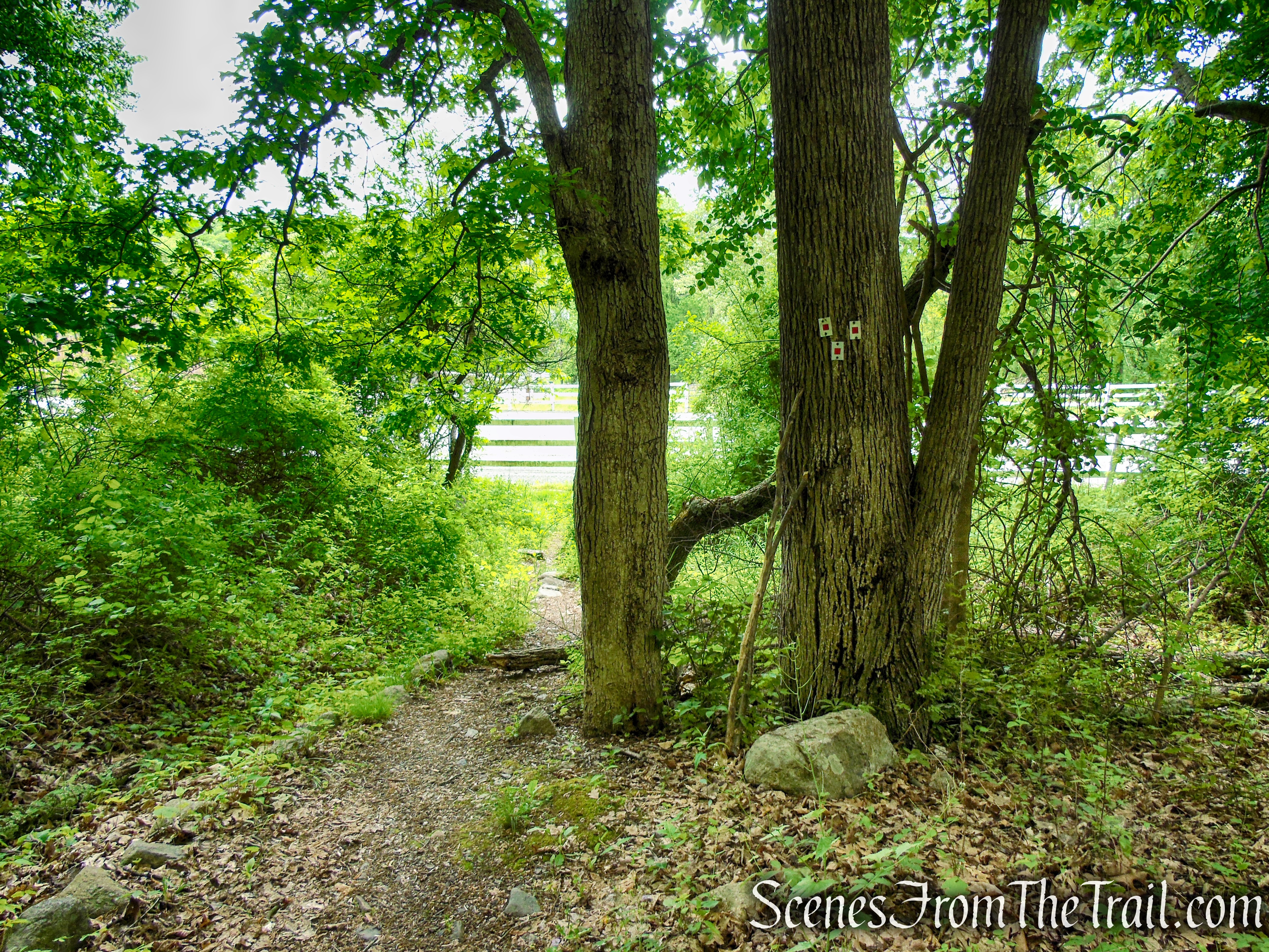 Terminus of Pine Meadow Trail - Harriman State Park