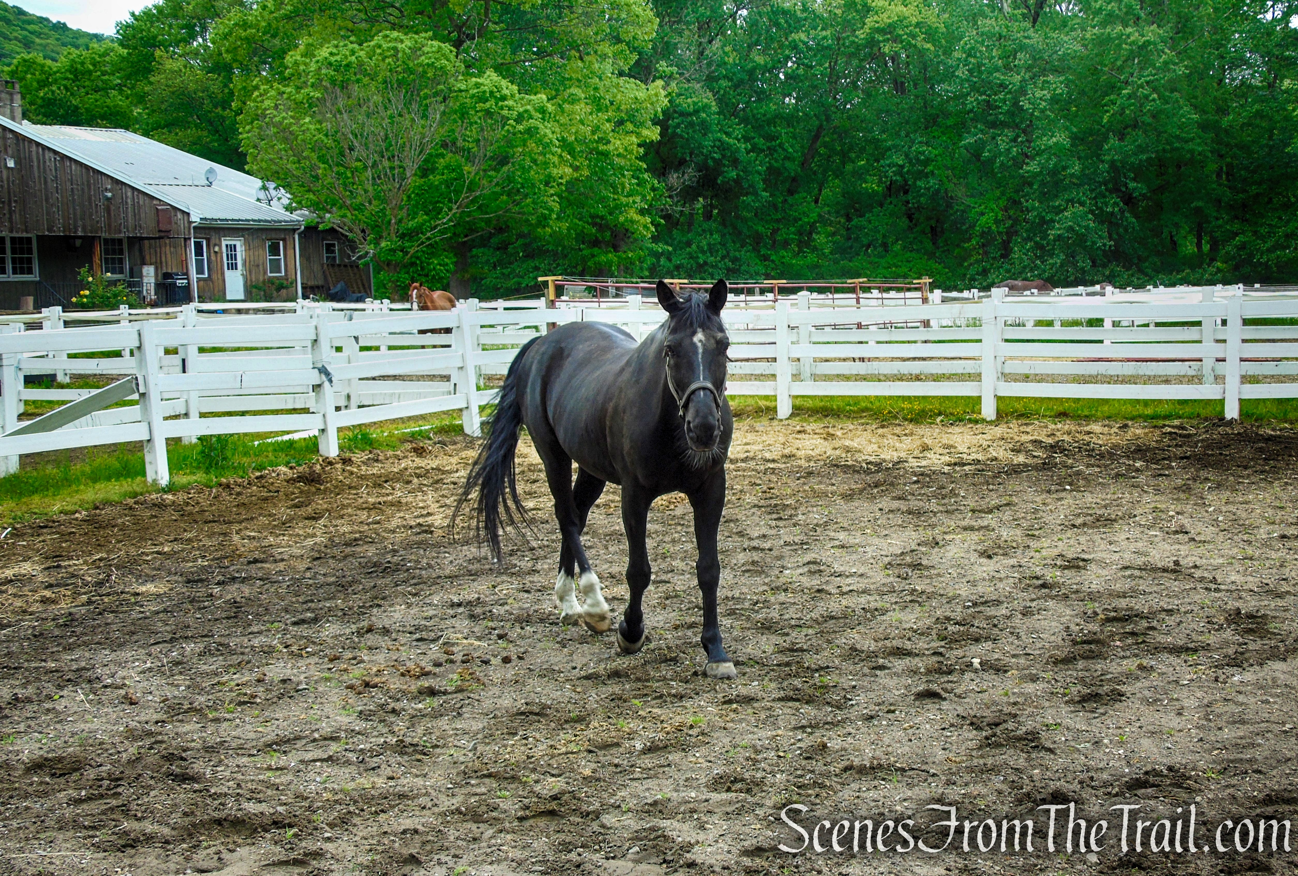 Town of Ramapo Equestrian Center