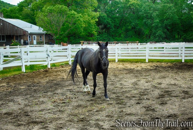 Town of Ramapo Equestrian Center