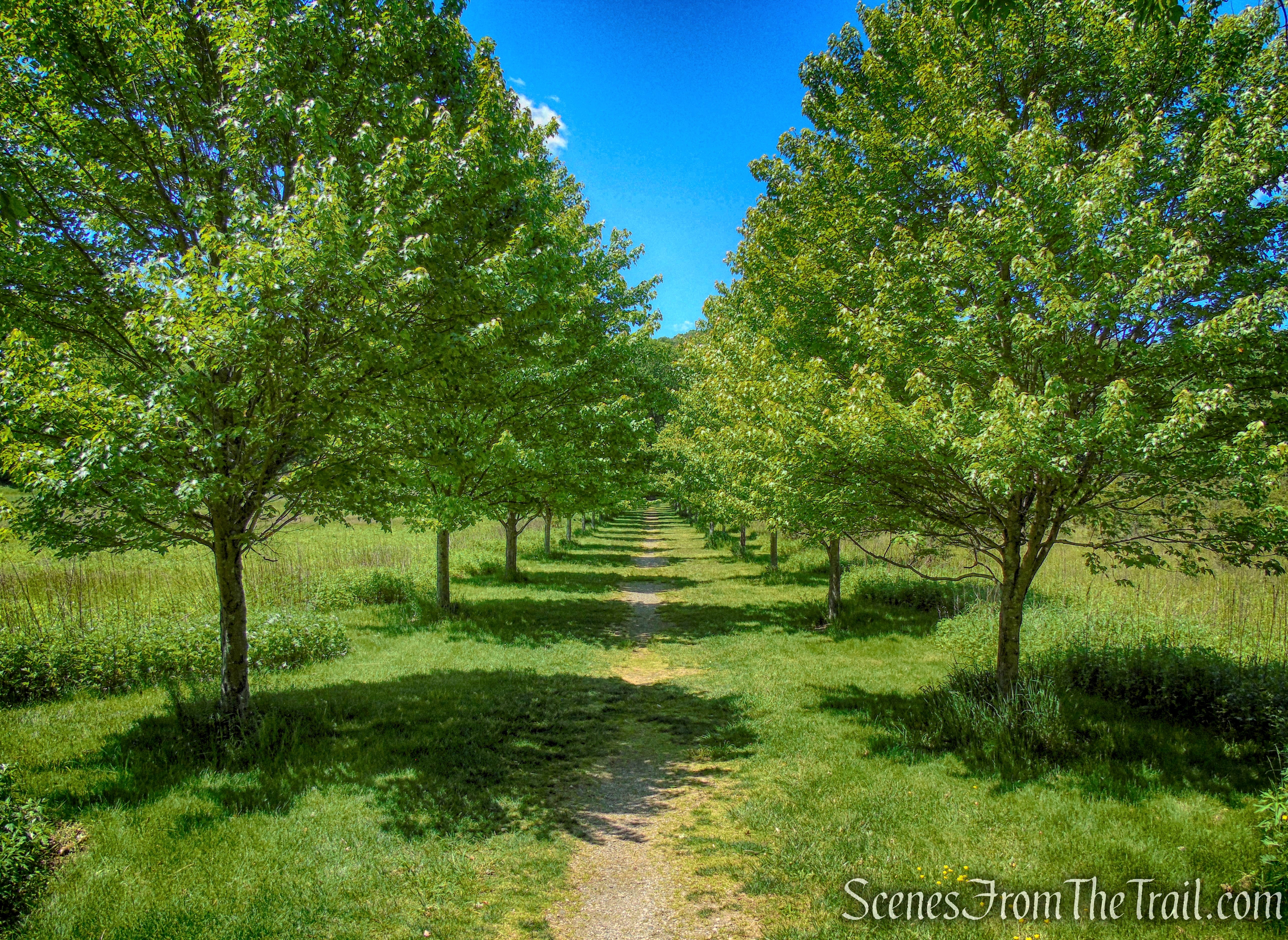 Dover Stone Church Preserve