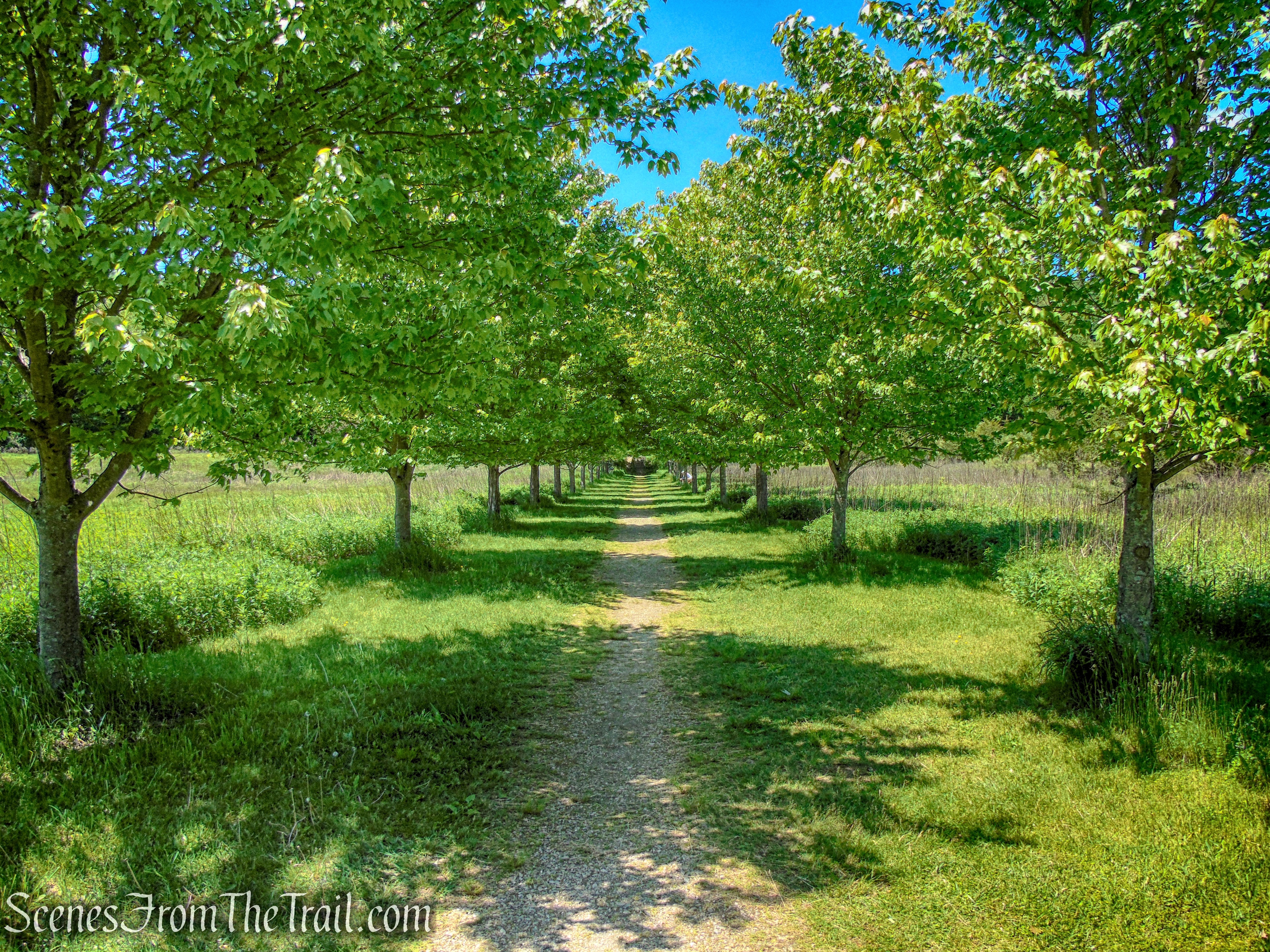 Dover Stone Church Preserve