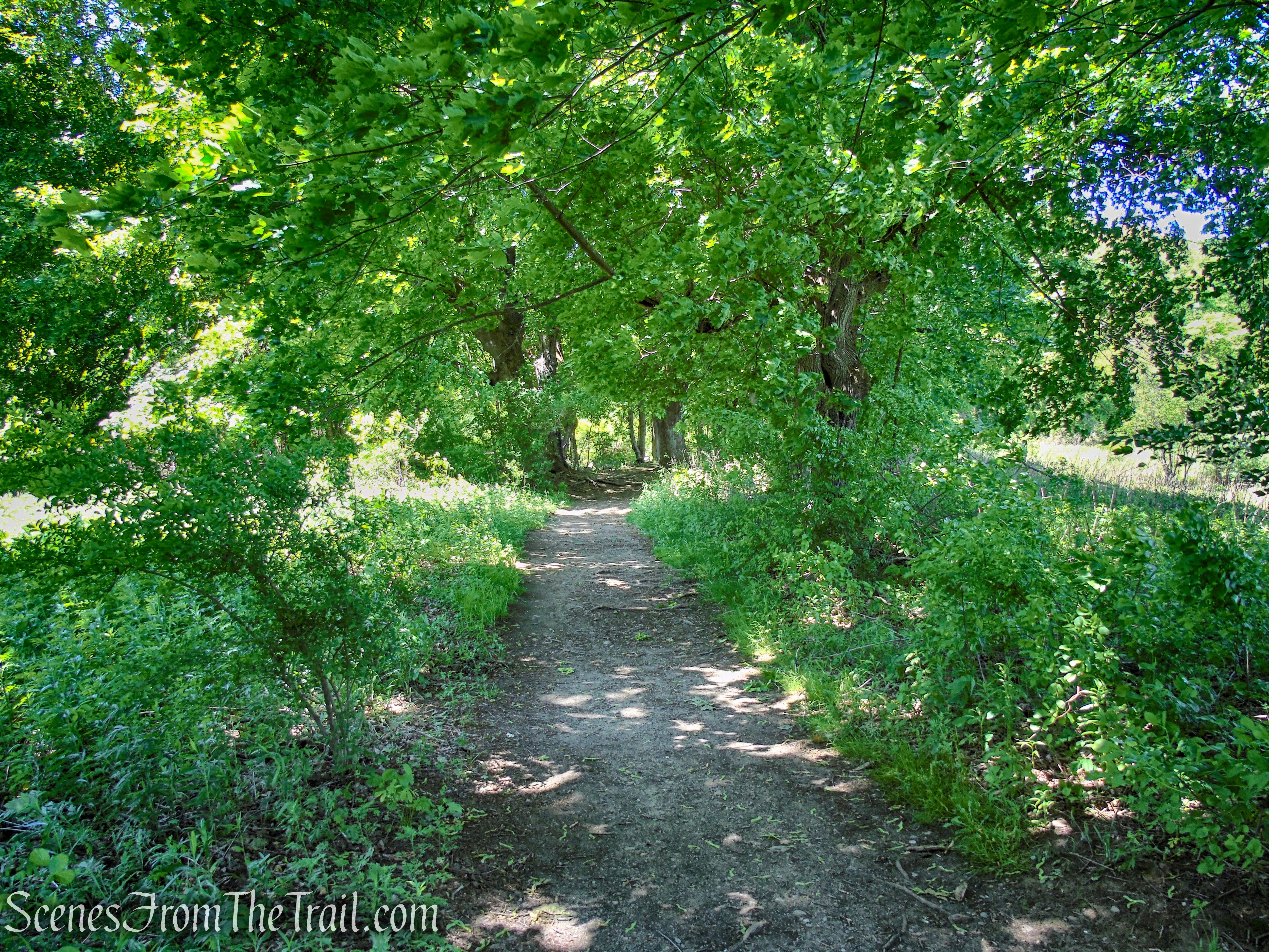 Dover Stone Church Preserve