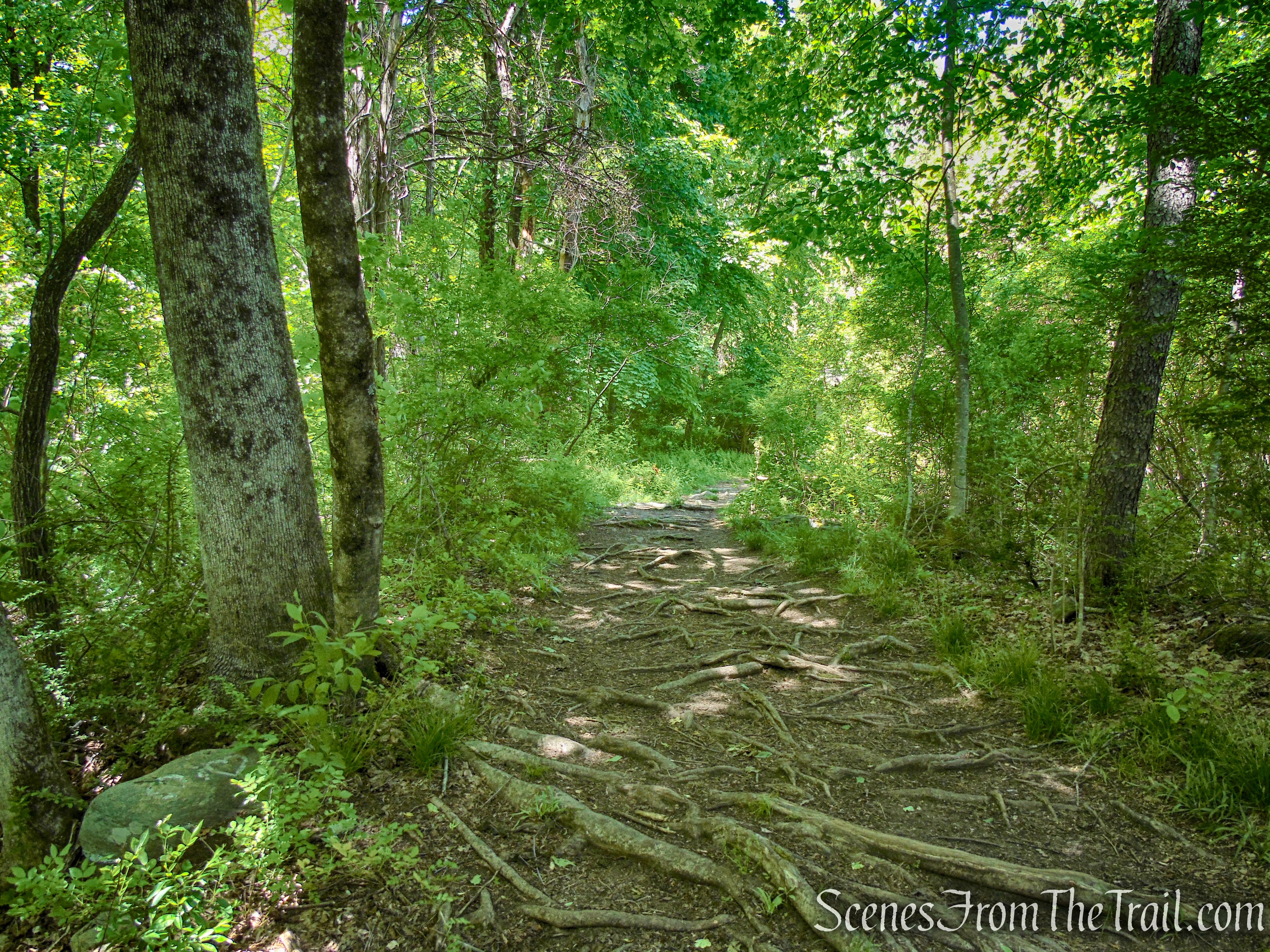 Dover Stone Church Preserve