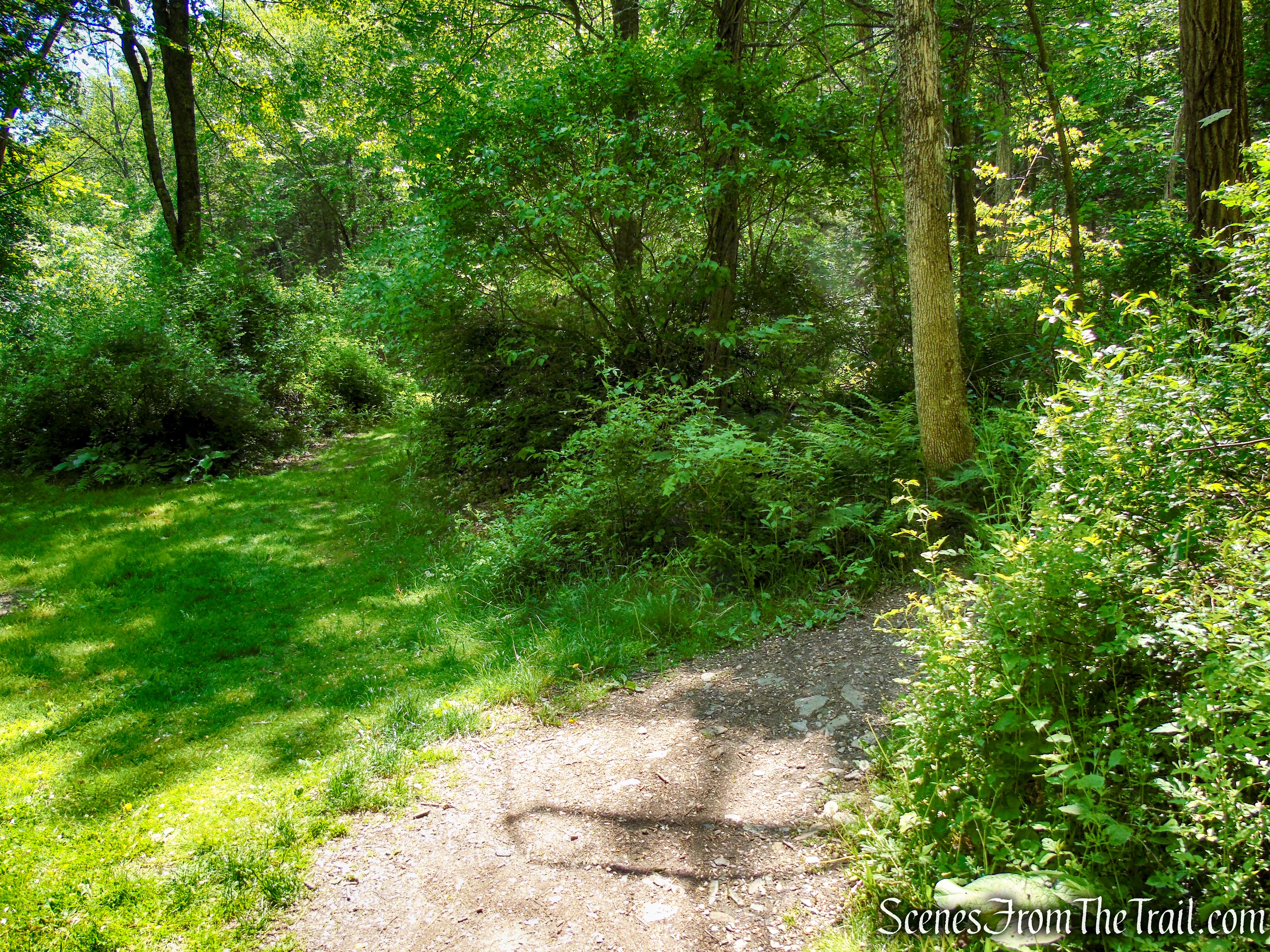 Dover Stone Church Preserve