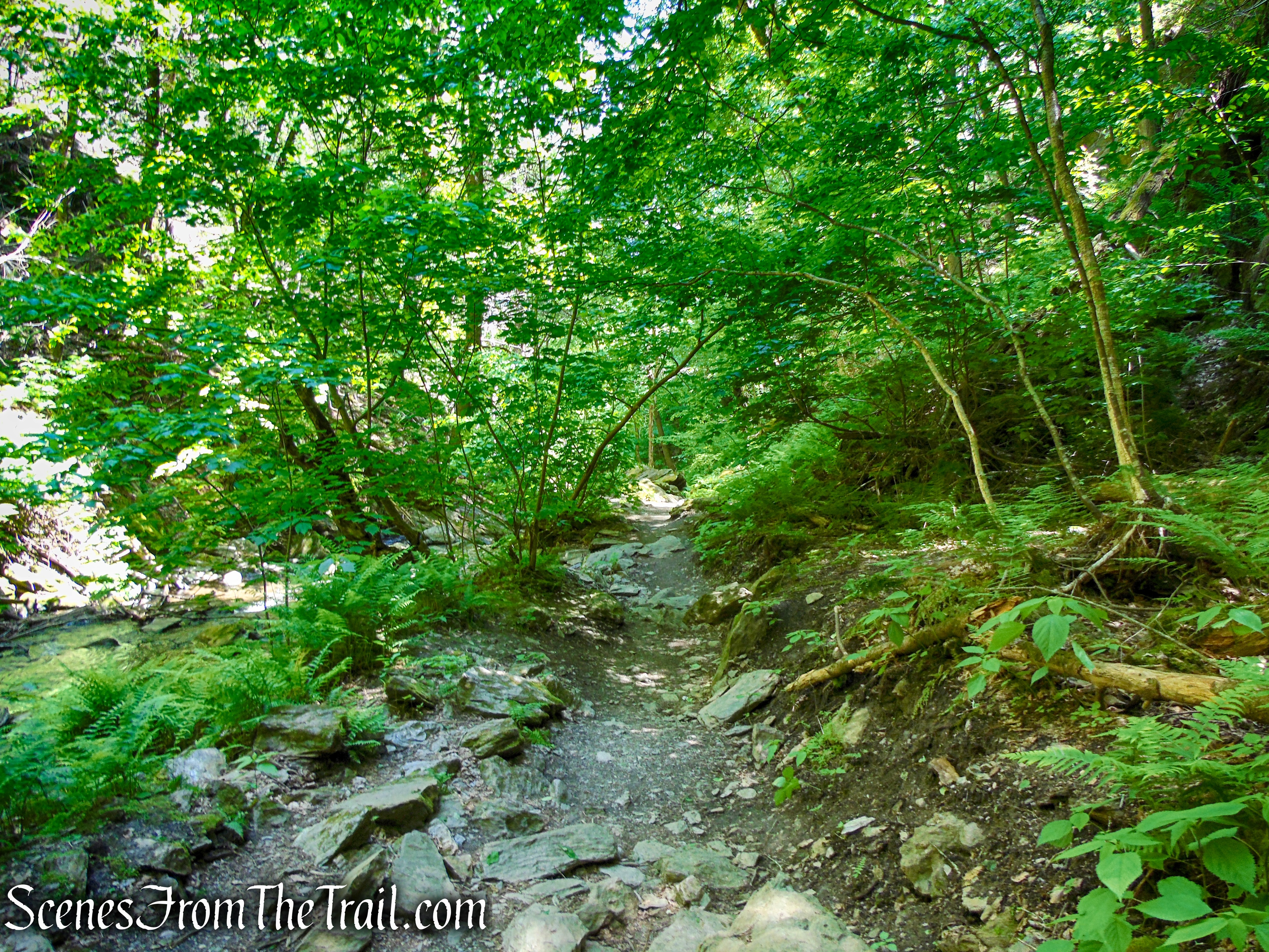 Stone Church Cave Trail