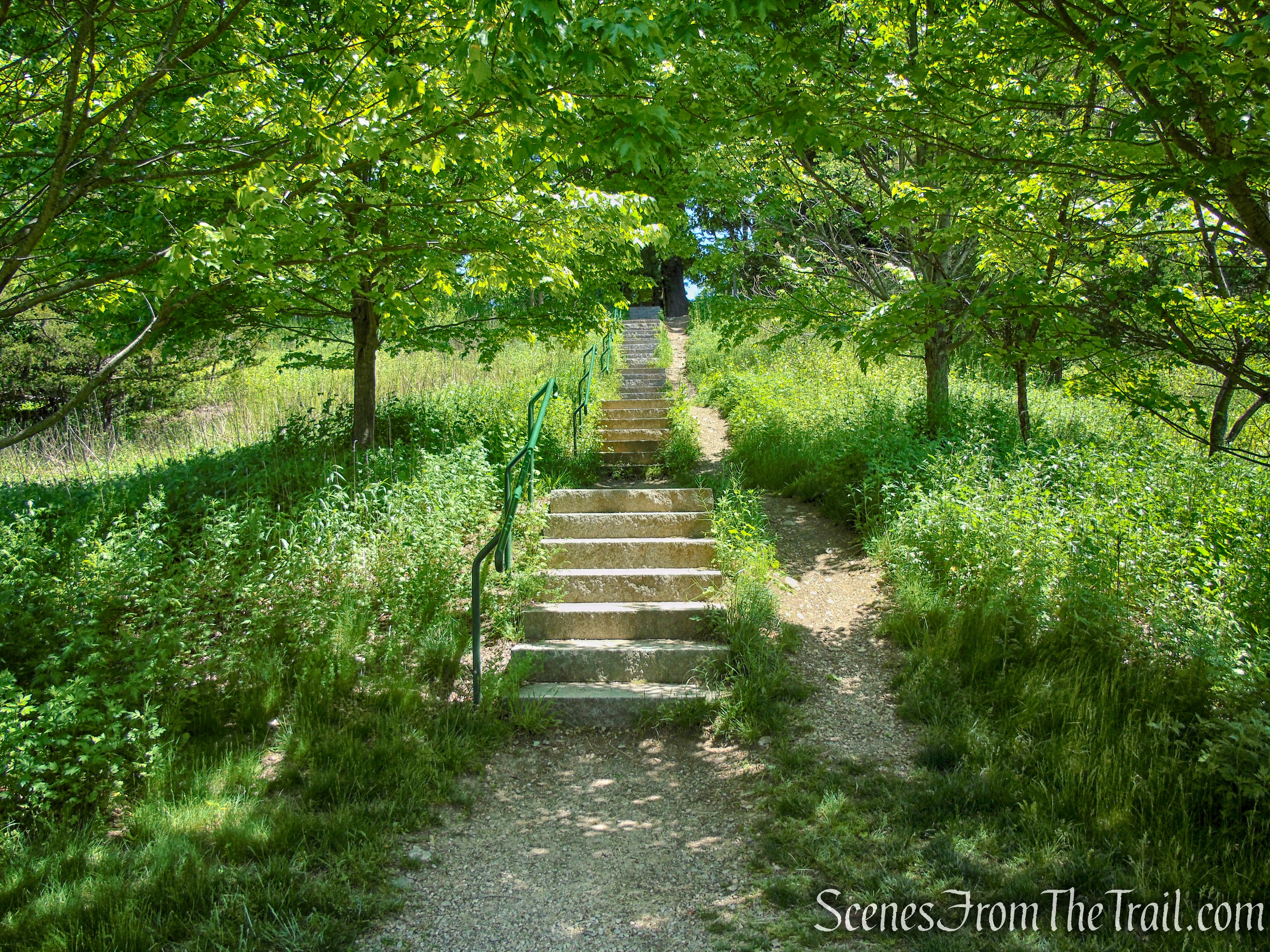 Dover Stone Church Preserve