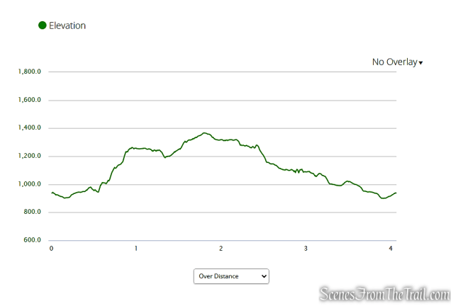 elevation profile - Black Rock Mountain Loop