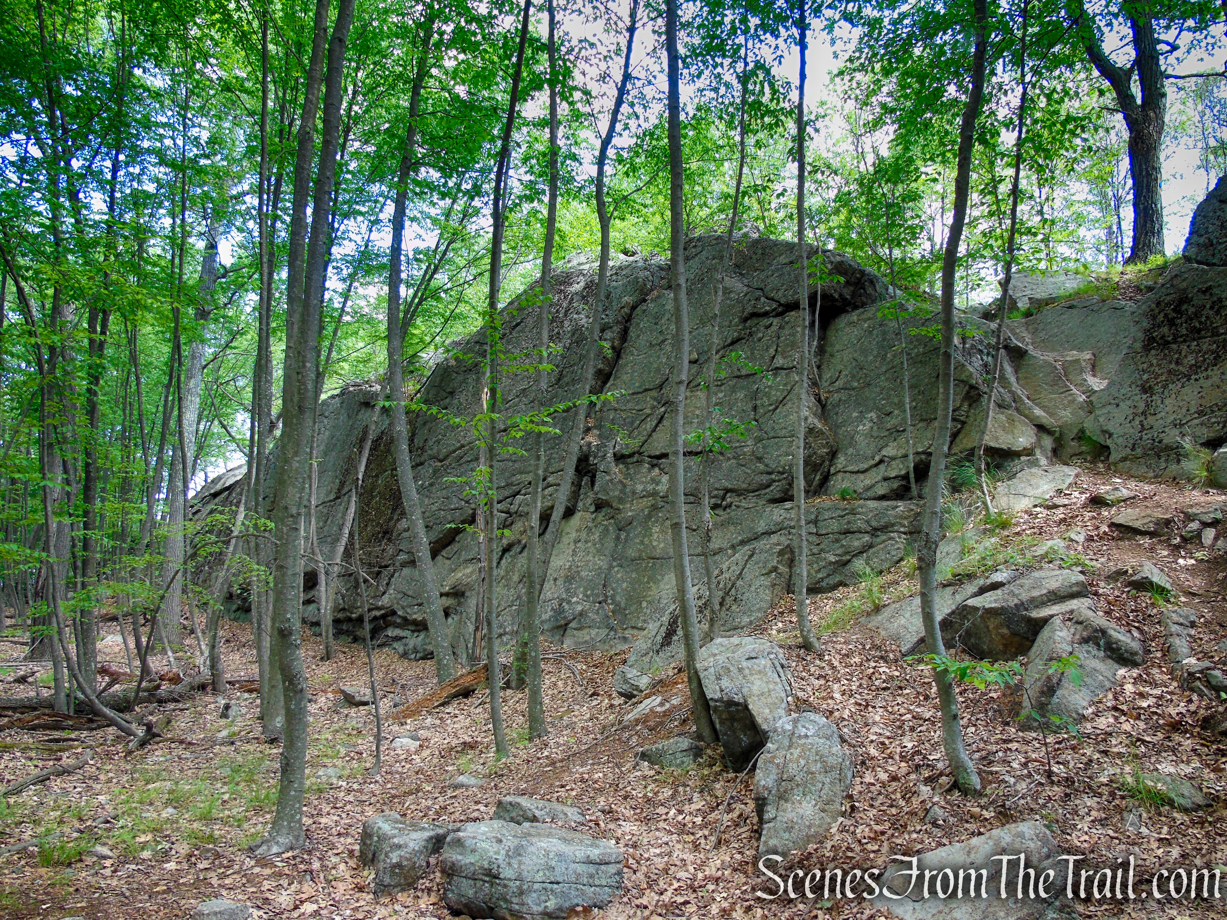 Timp-Torne Trail – West Mountain