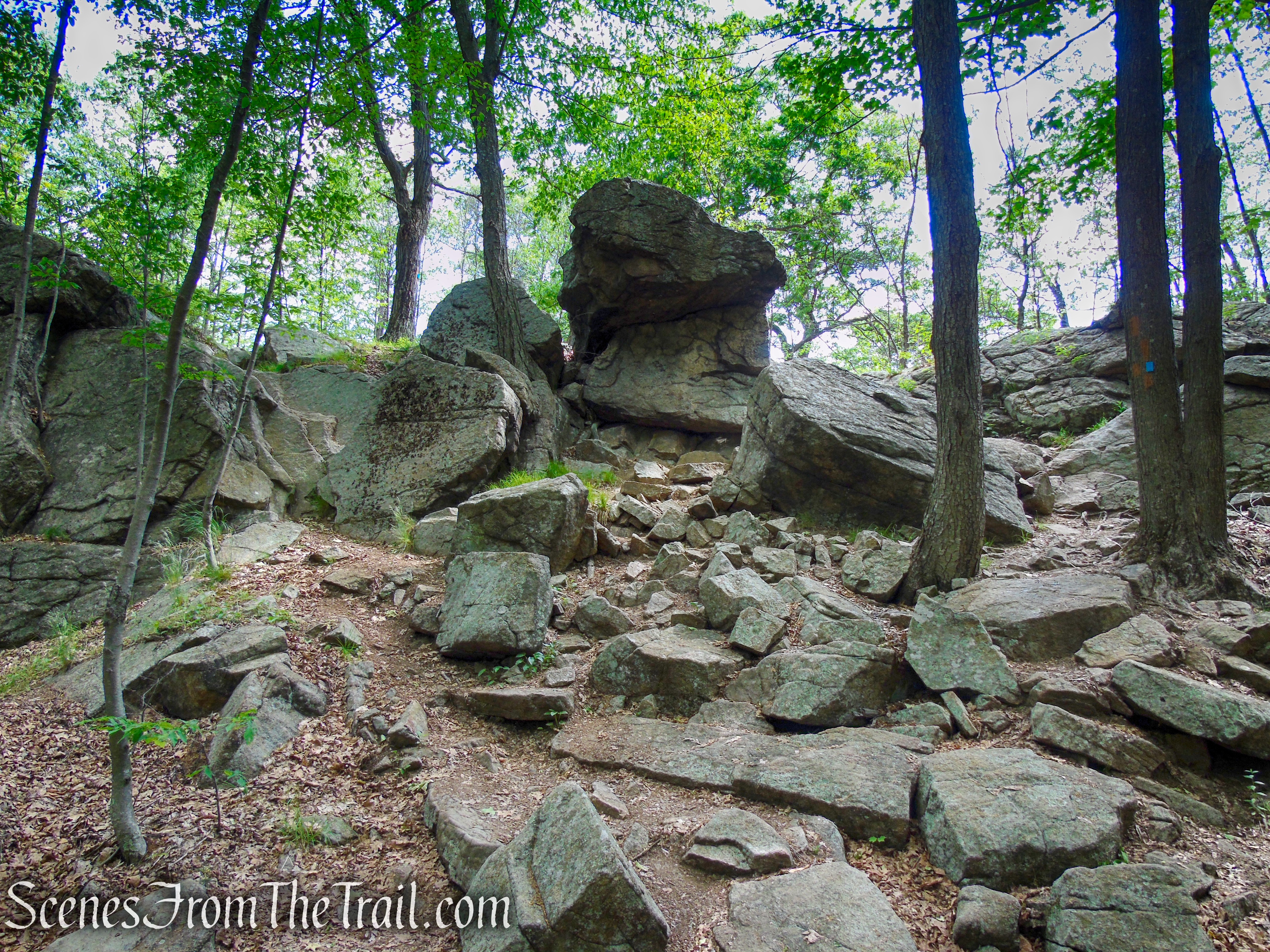 Timp-Torne Trail – West Mountain