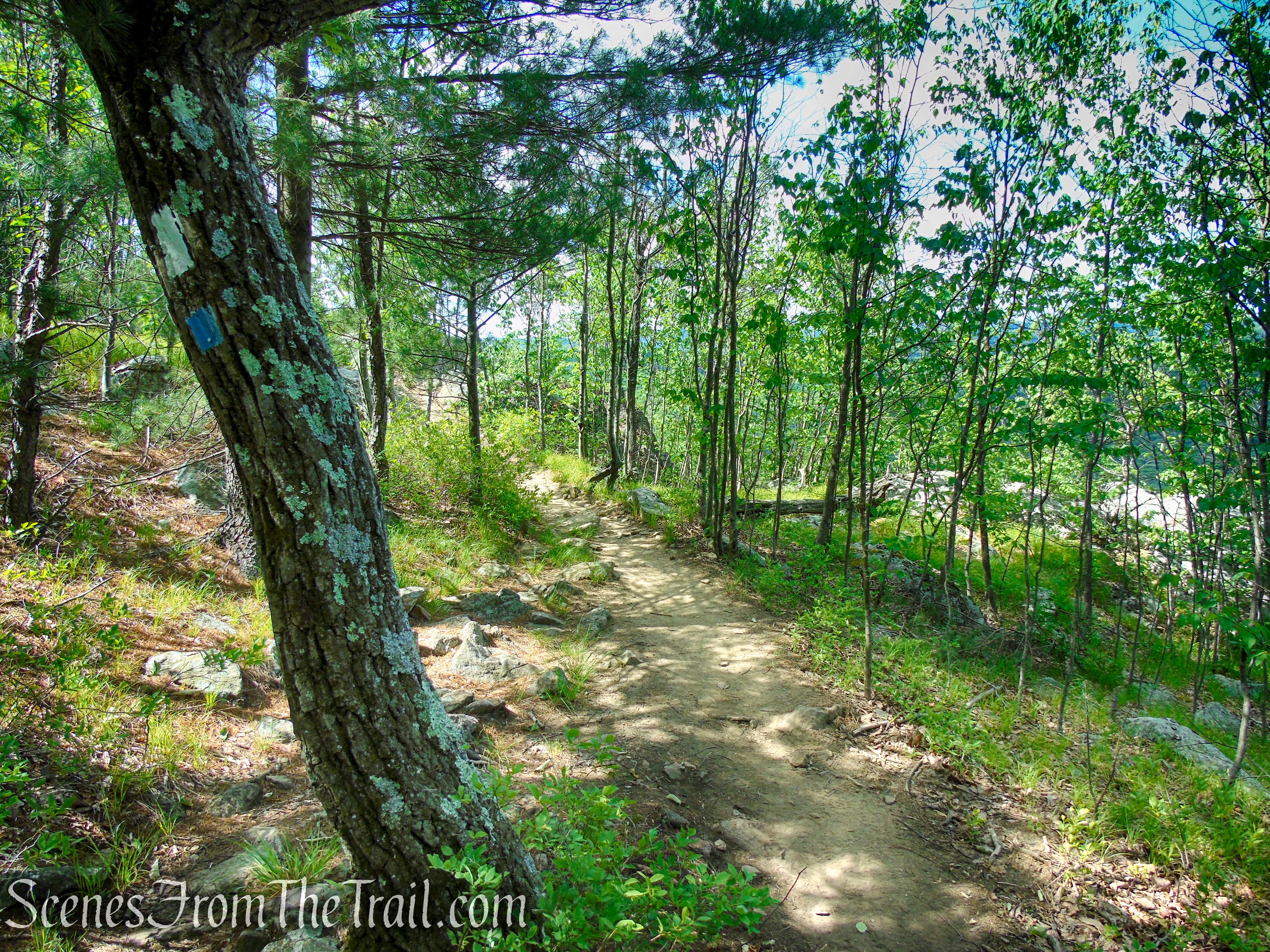 Timp-Torne Trail – West Mountain