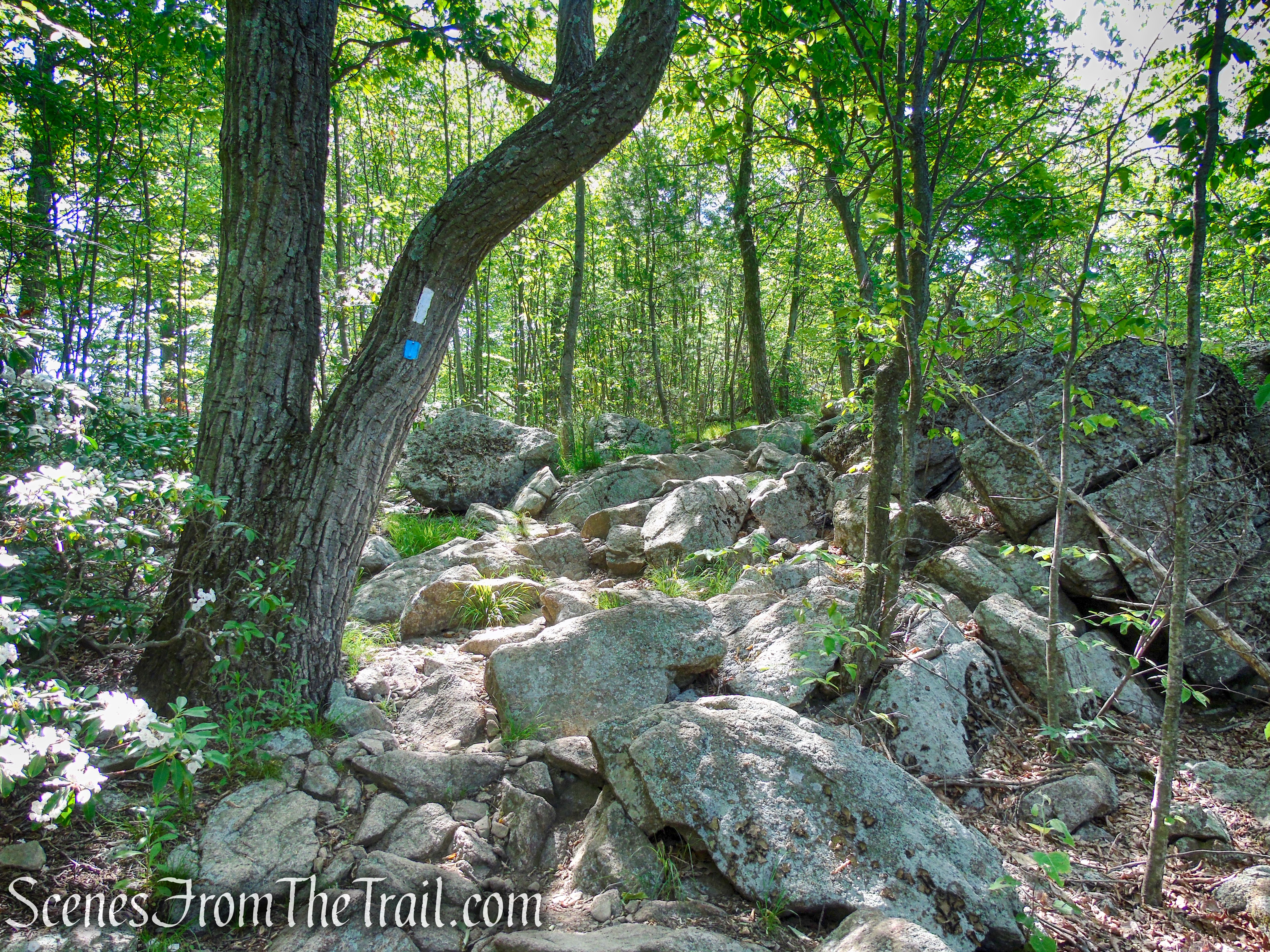 Timp-Torne Trail – West Mountain