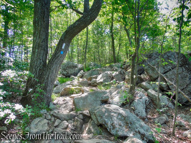 Timp-Torne Trail – West Mountain