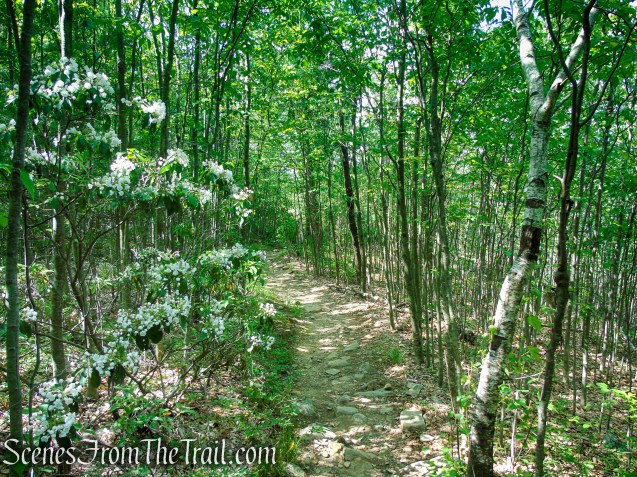 Timp-Torne Trail – West Mountain