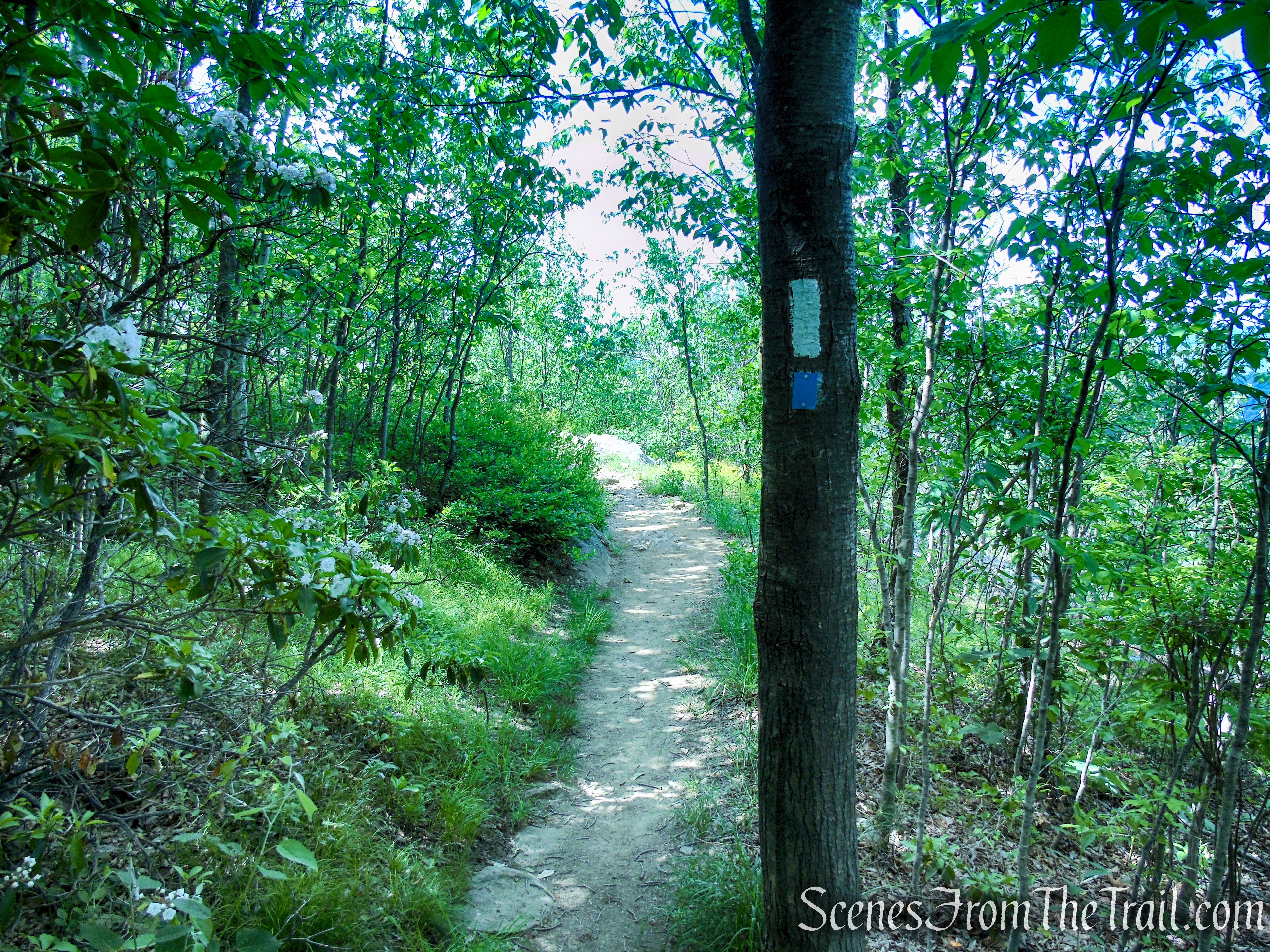 Timp-Torne Trail – West Mountain
