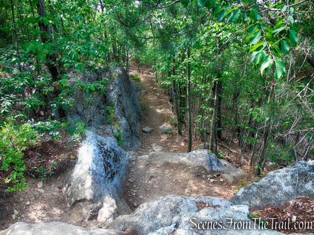 Timp-Torne Trail – West Mountain