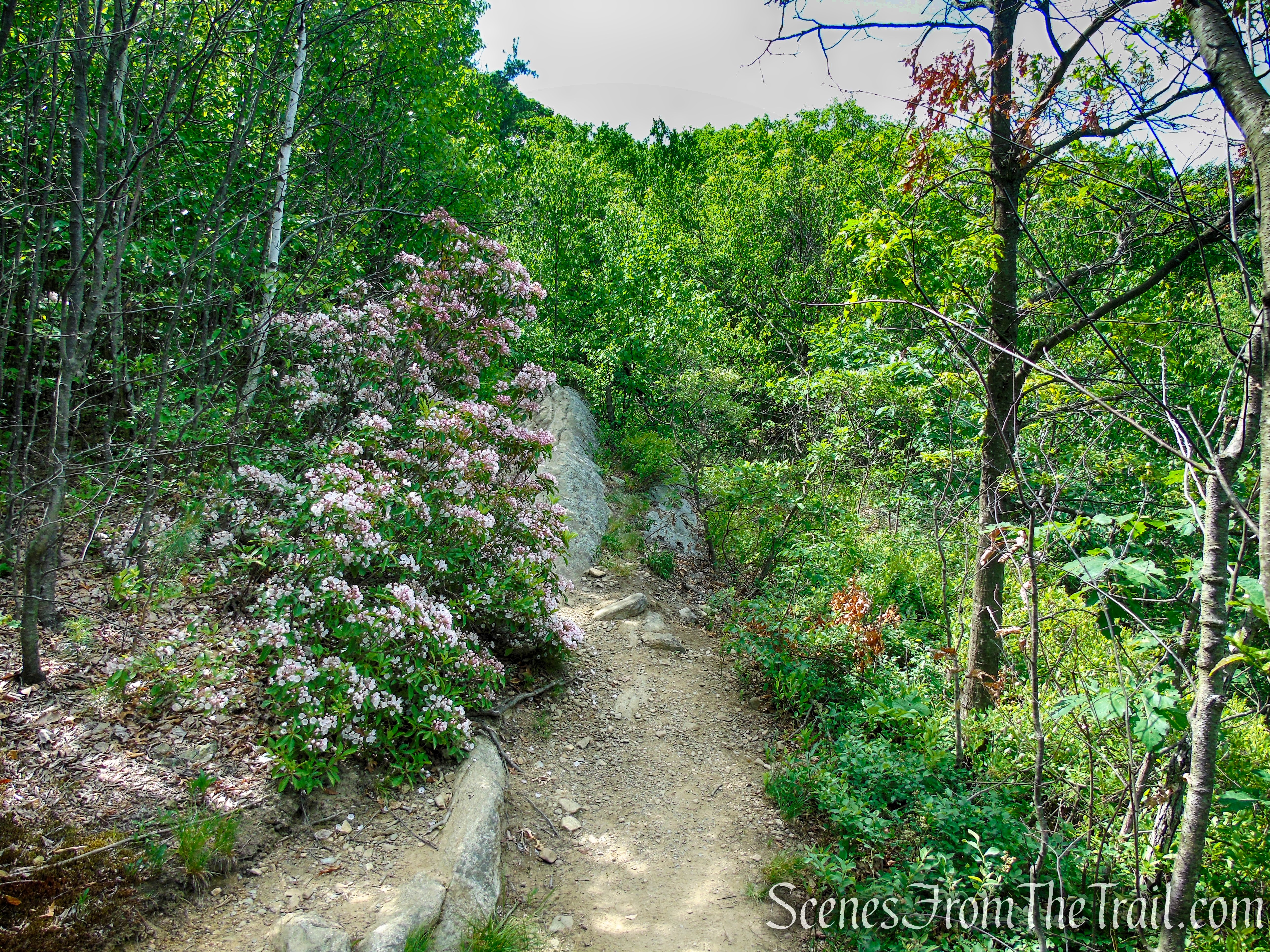 Timp-Torne Trail – West Mountain