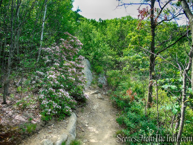 Timp-Torne Trail – West Mountain