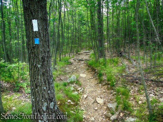 Timp-Torne Trail – West Mountain