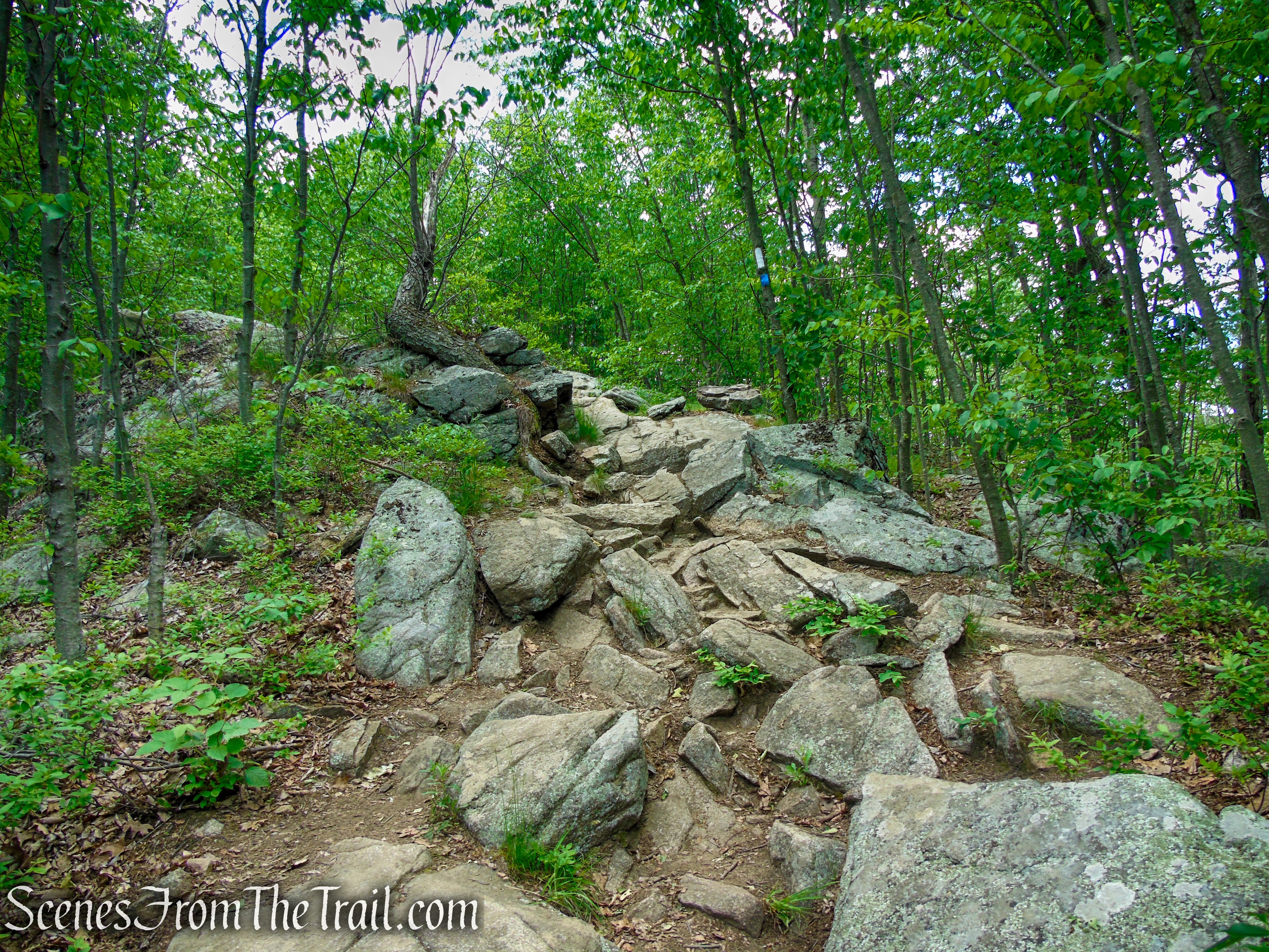 Timp-Torne Trail – West Mountain