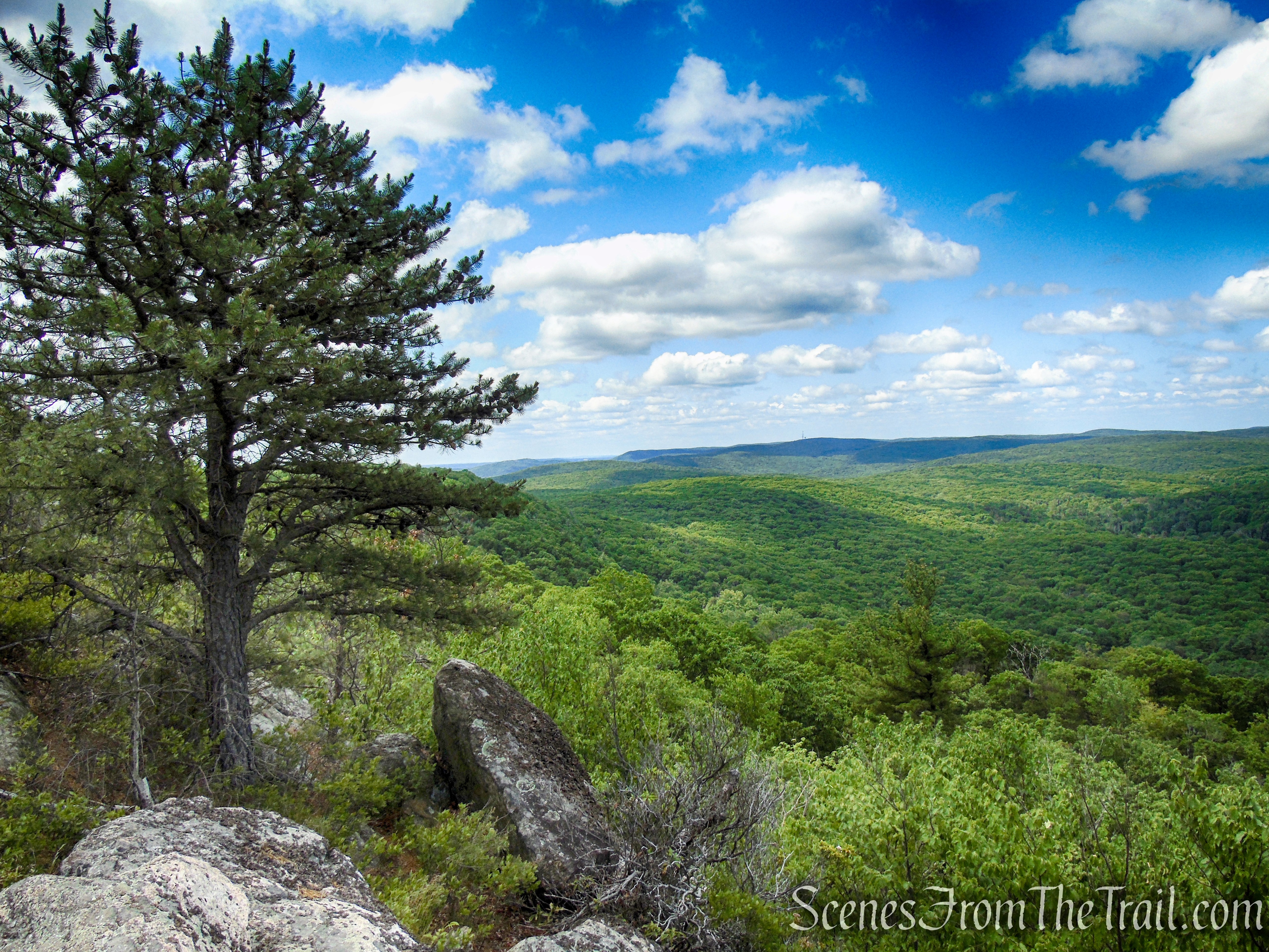 Timp-Torne Trail – West Mountain
