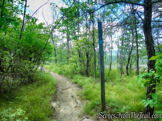 Timp-Torne Trail – West Mountain