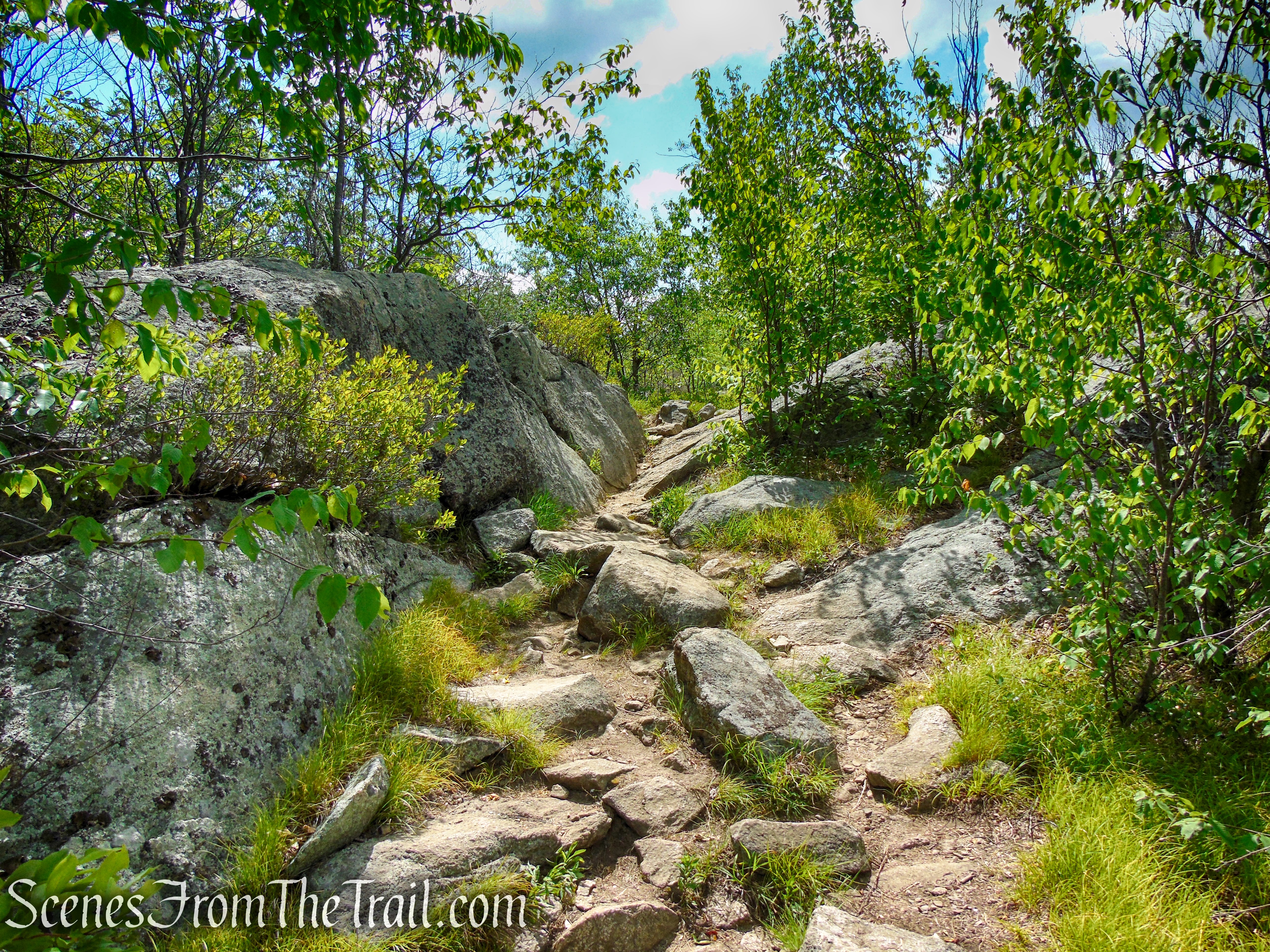 Timp-Torne Trail – West Mountain