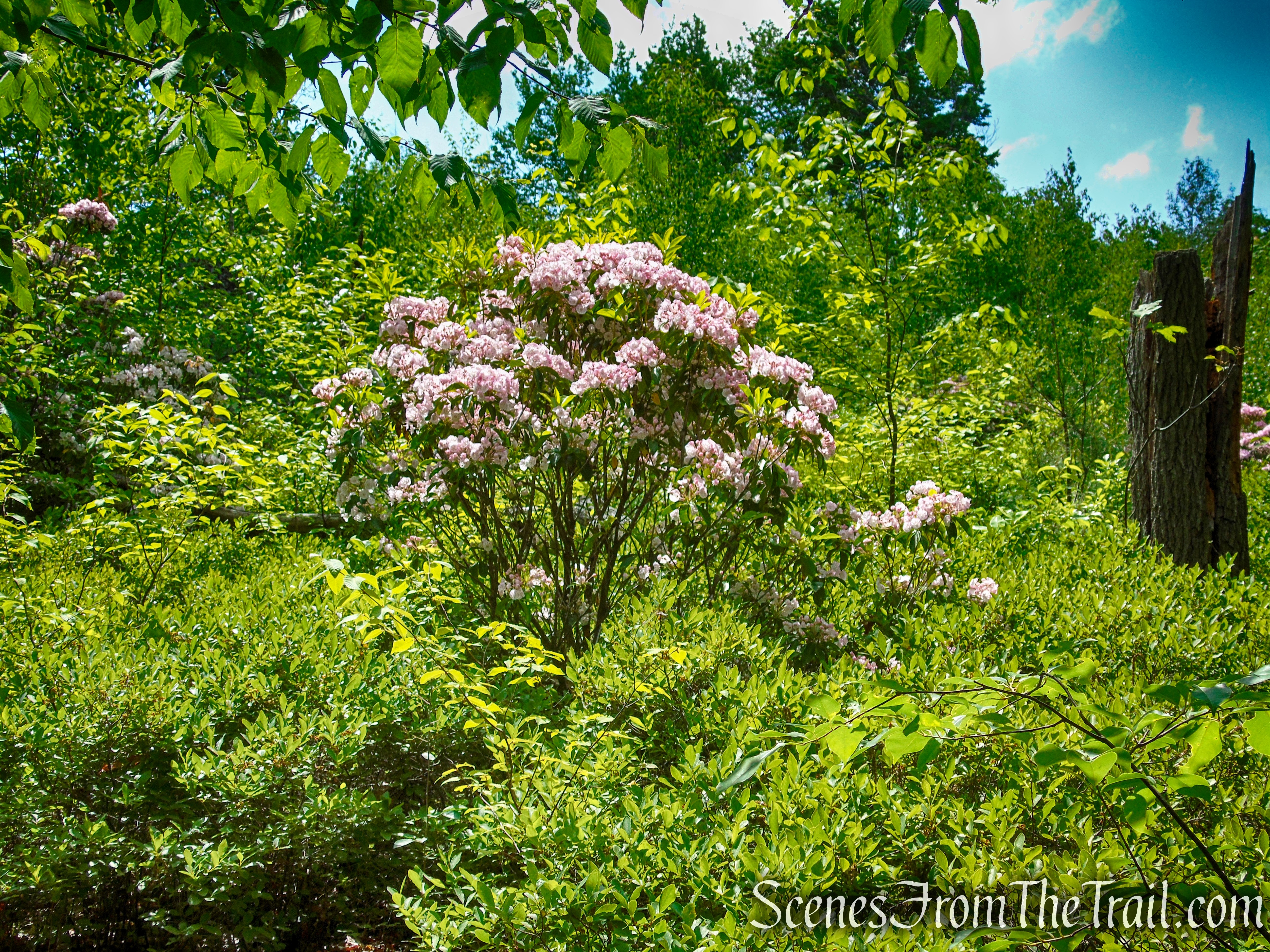 Timp-Torne Trail – West Mountain