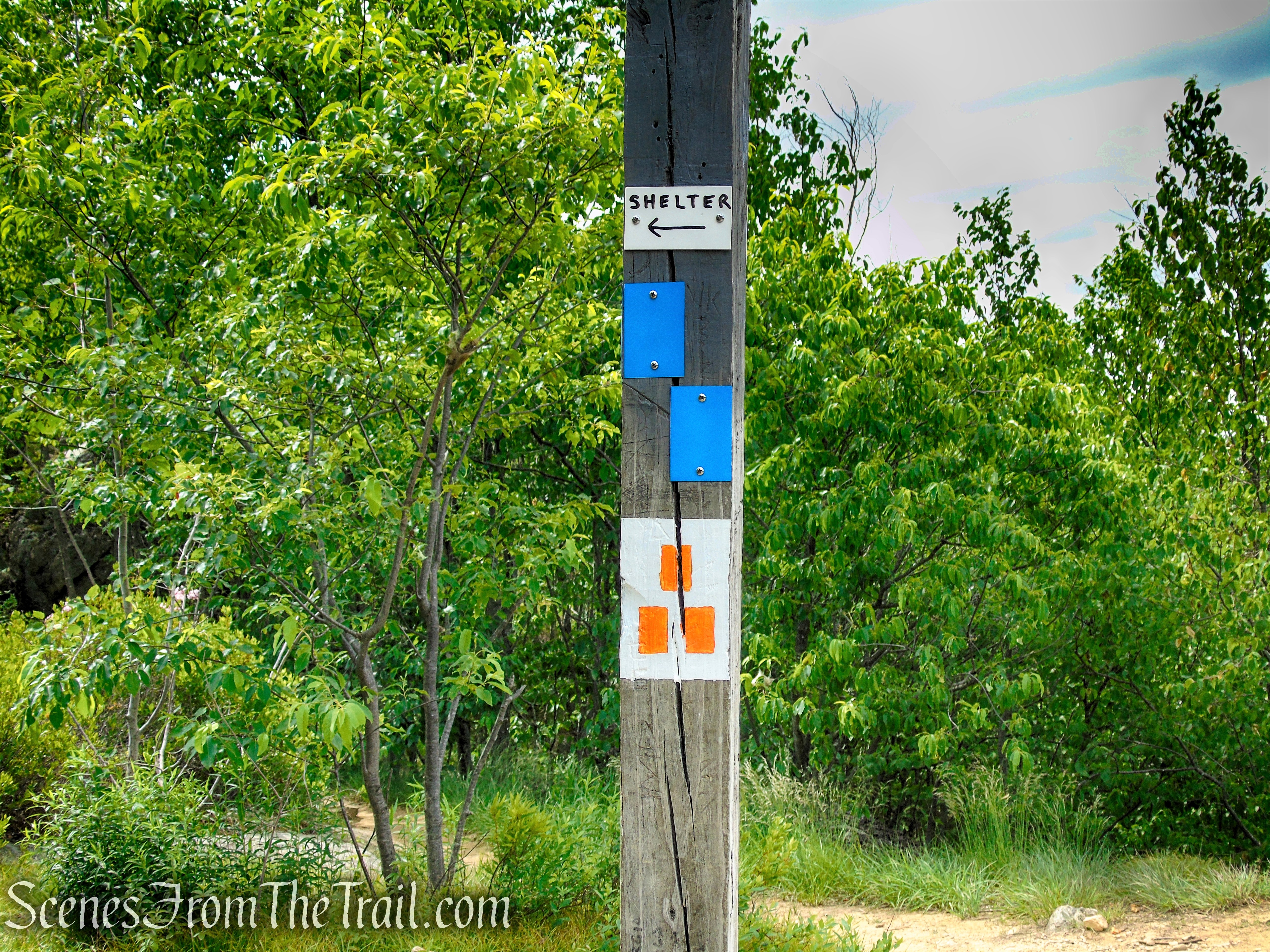 Continue straight onto the West Mountain Trail