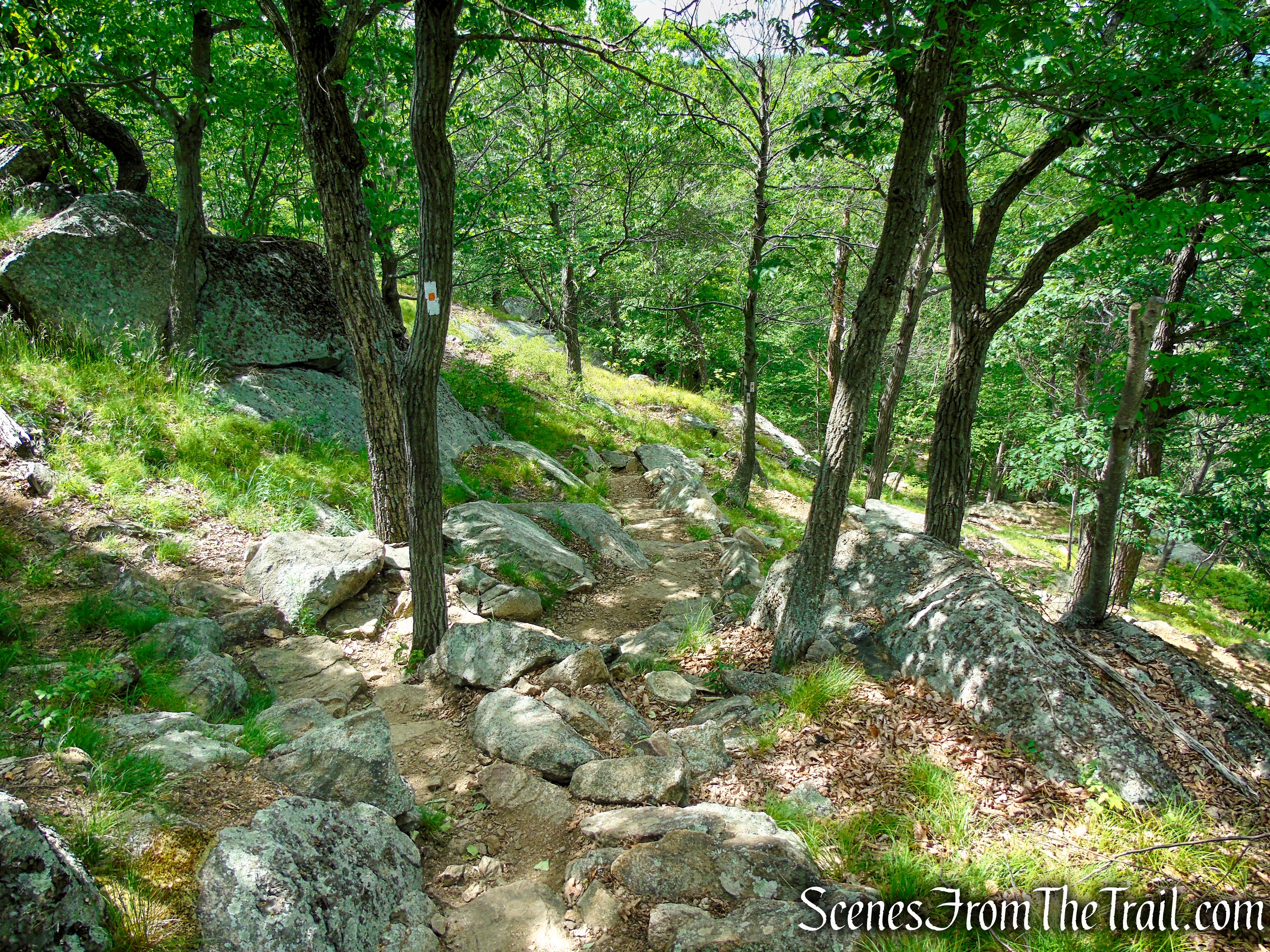 West Mountain Trail - Bear Mountain State Park