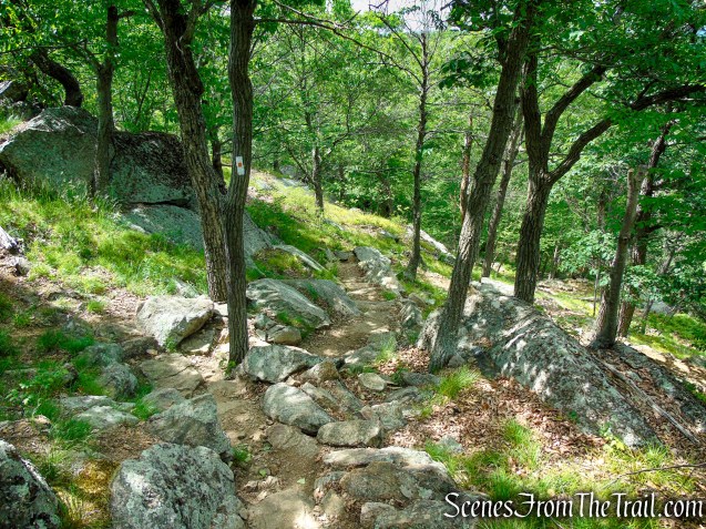 West Mountain Trail - Bear Mountain State Park