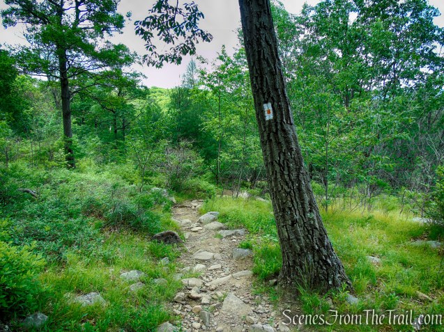 West Mountain Trail - Bear Mountain State Park