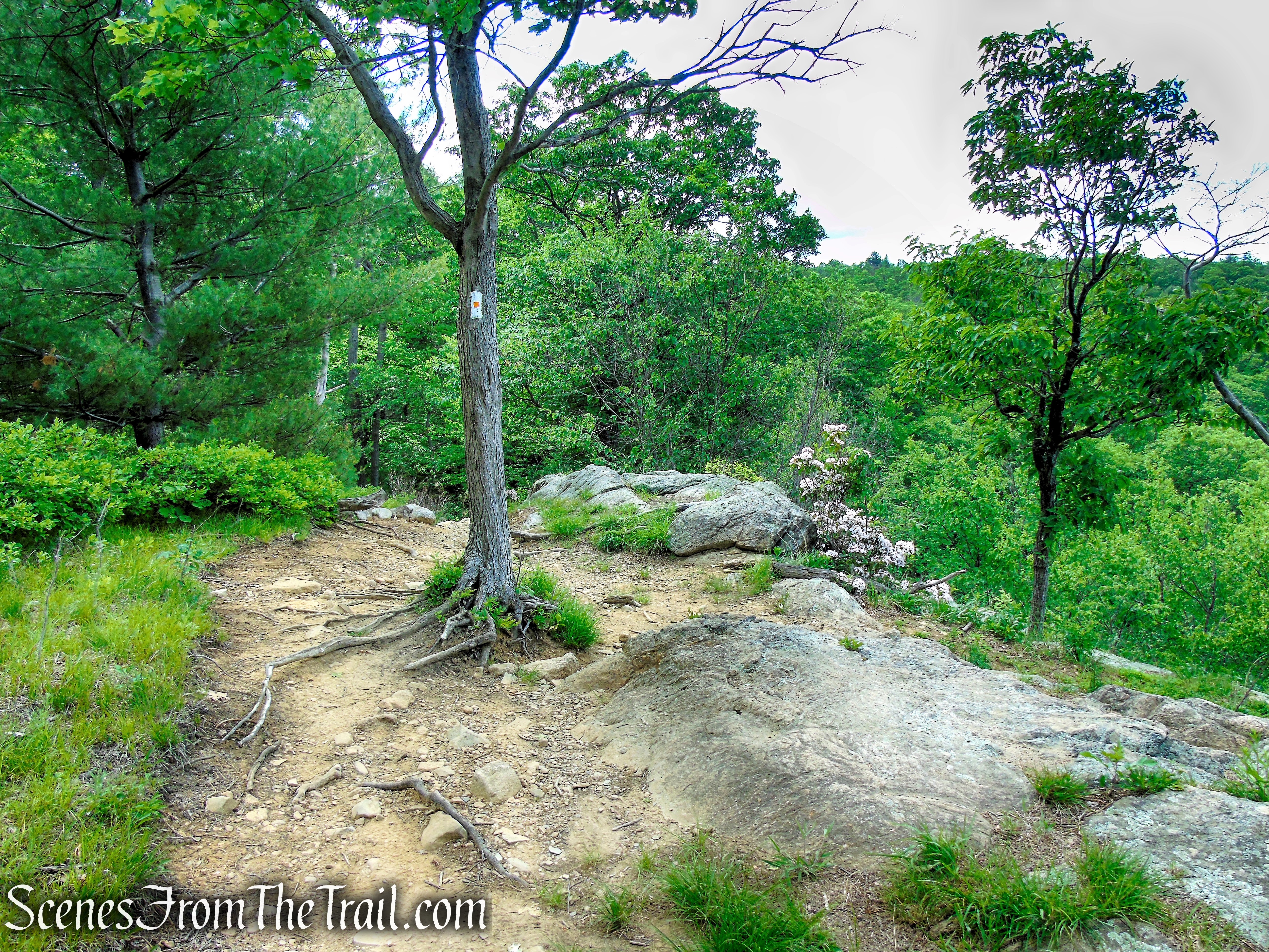West Mountain Trail - Bear Mountain State Park