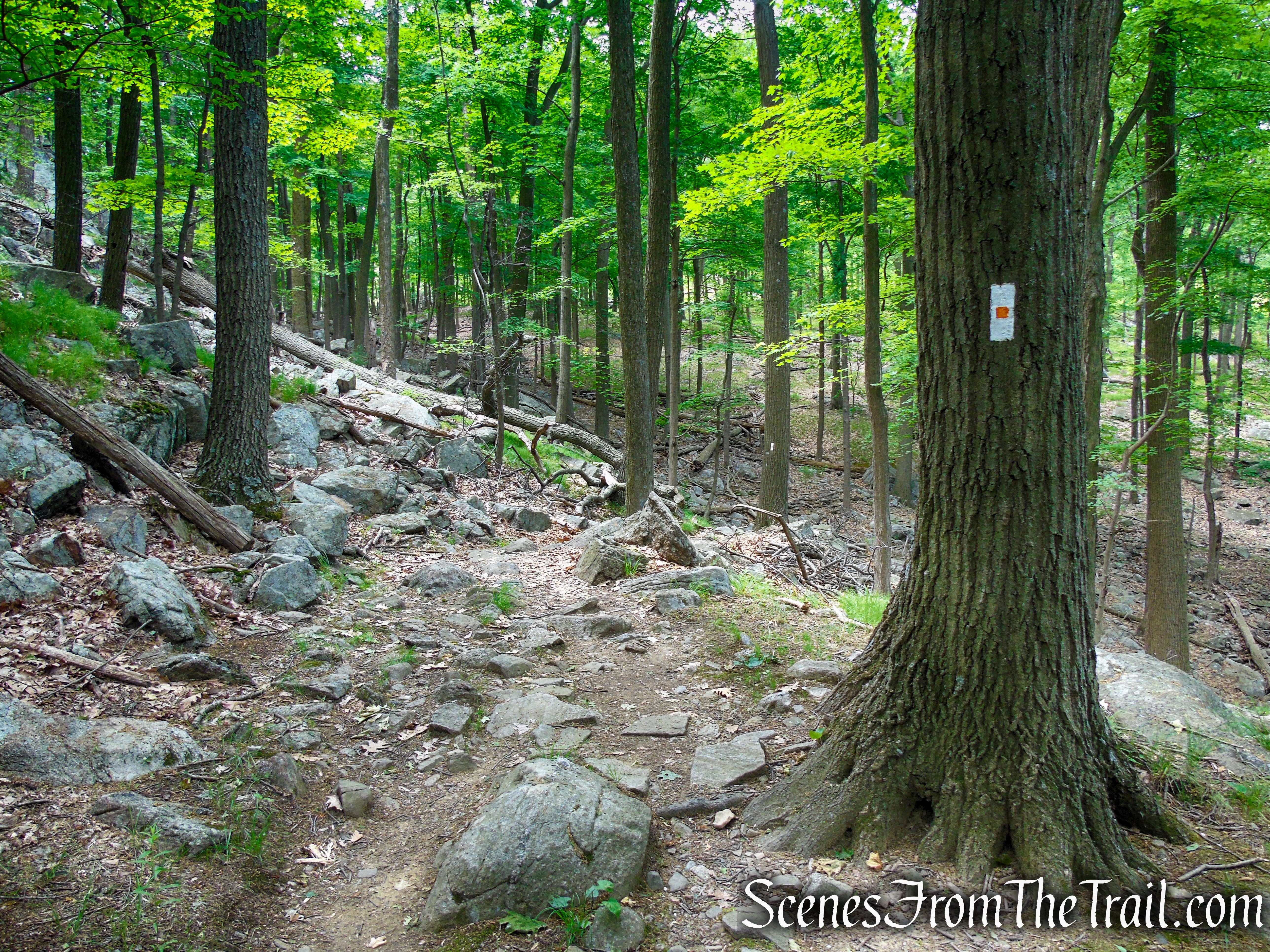 West Mountain Trail - Bear Mountain State Park