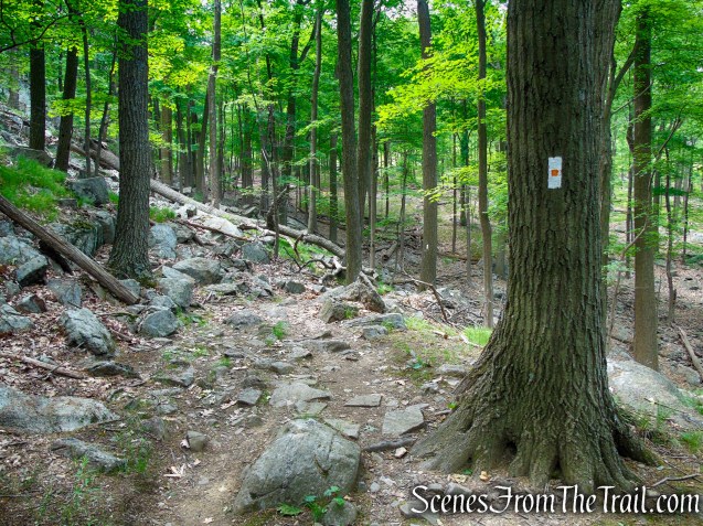 West Mountain Trail - Bear Mountain State Park