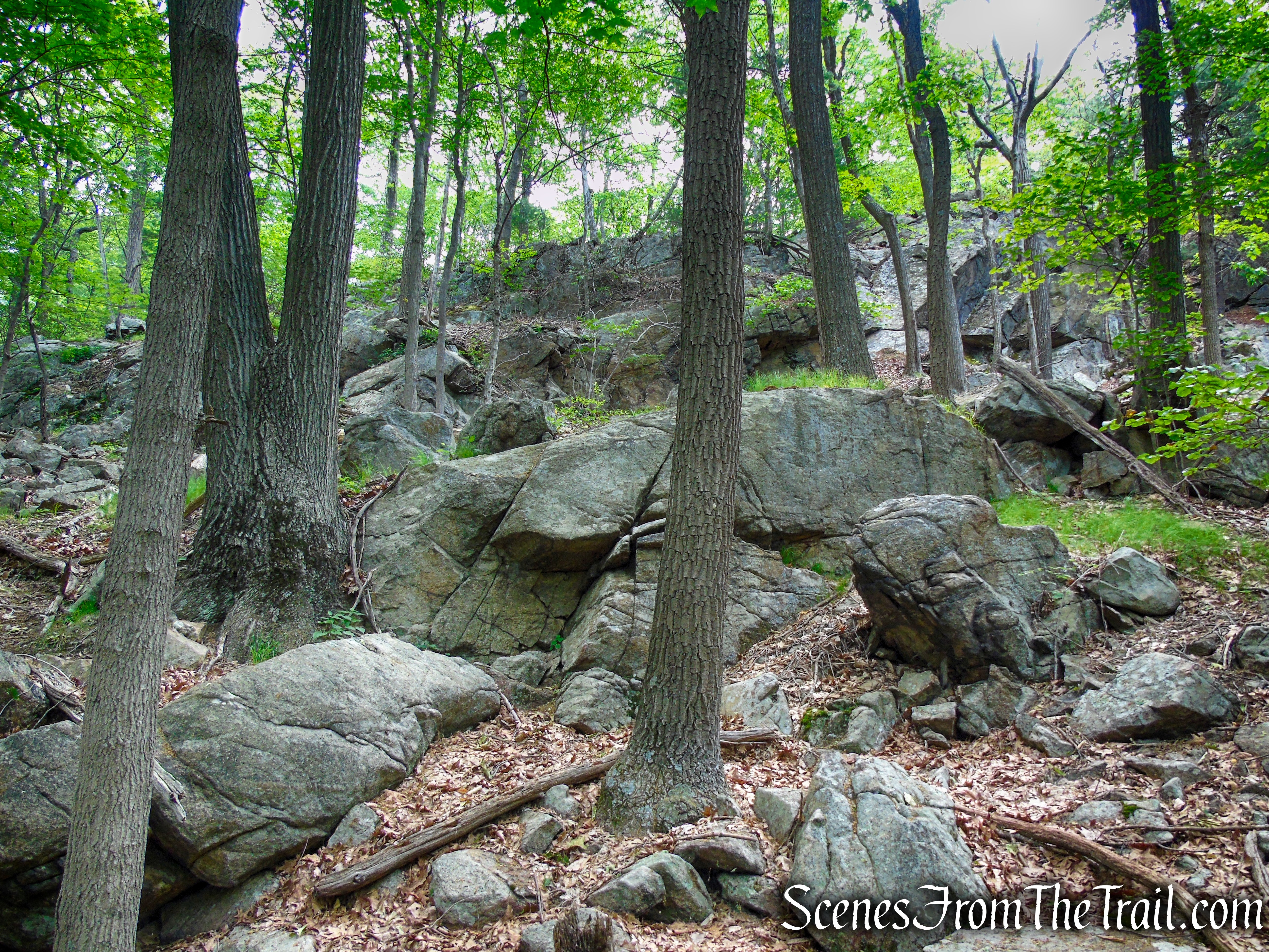West Mountain Trail - Bear Mountain State Park