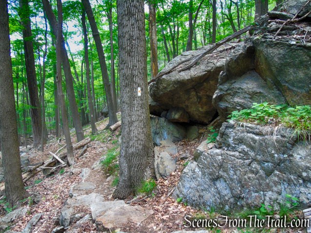 West Mountain Trail - Bear Mountain State Park