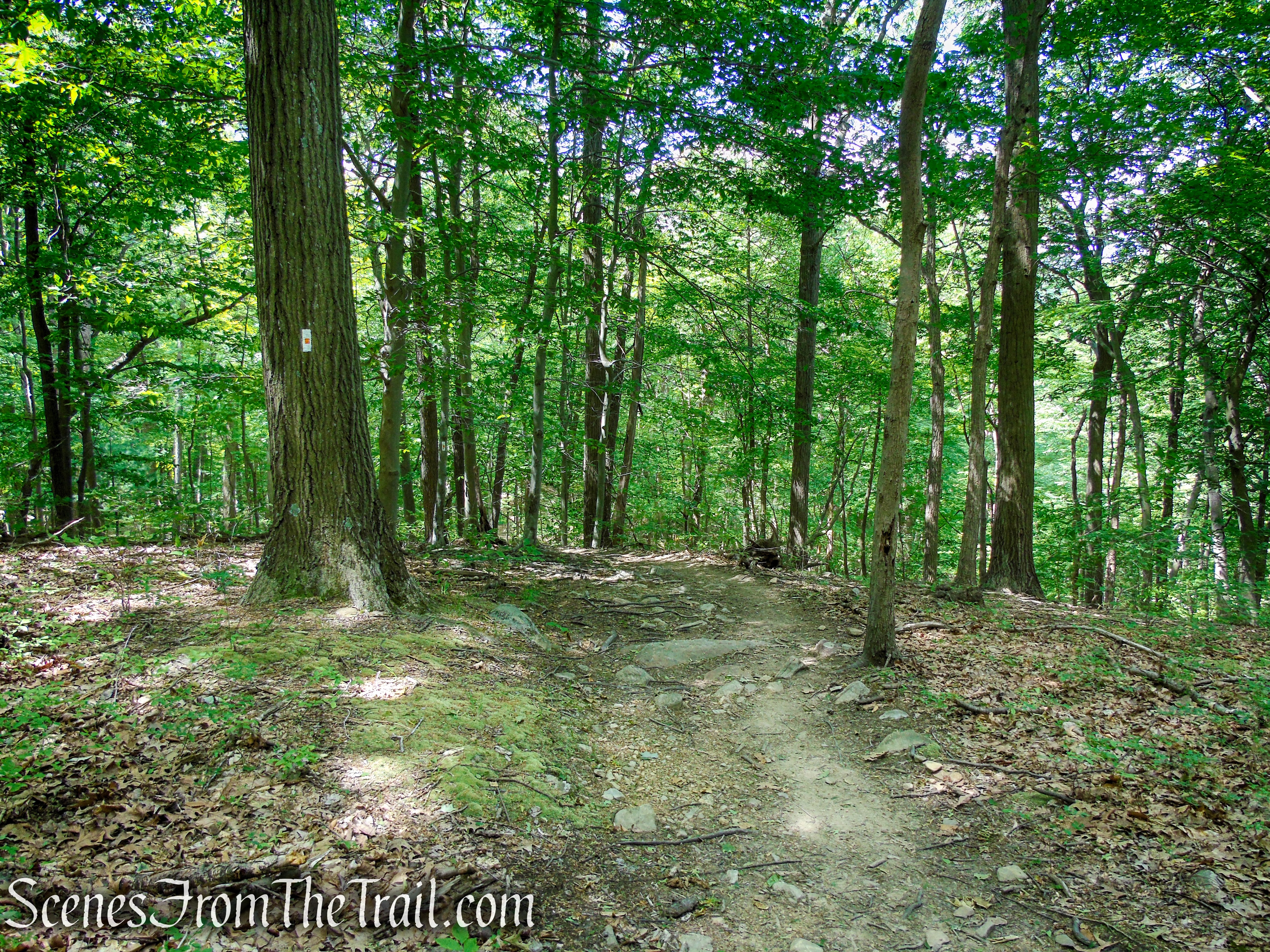 West Mountain Trail - Bear Mountain State Park
