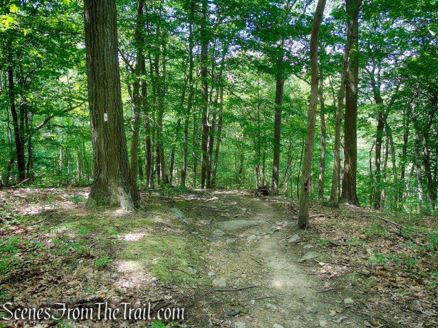 West Mountain Trail - Bear Mountain State Park
