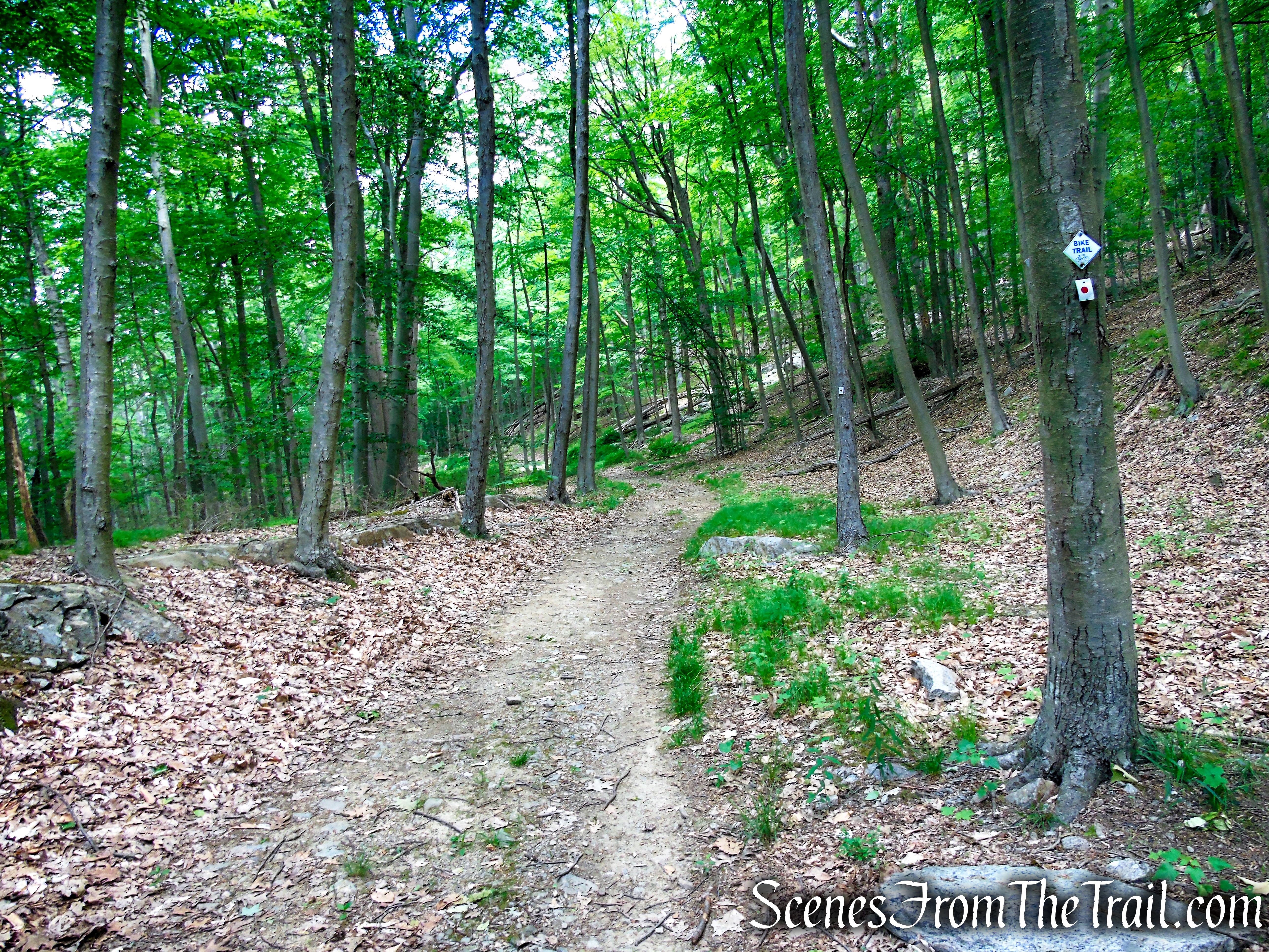 Rampo-Dunderberg Trail – West Mountain