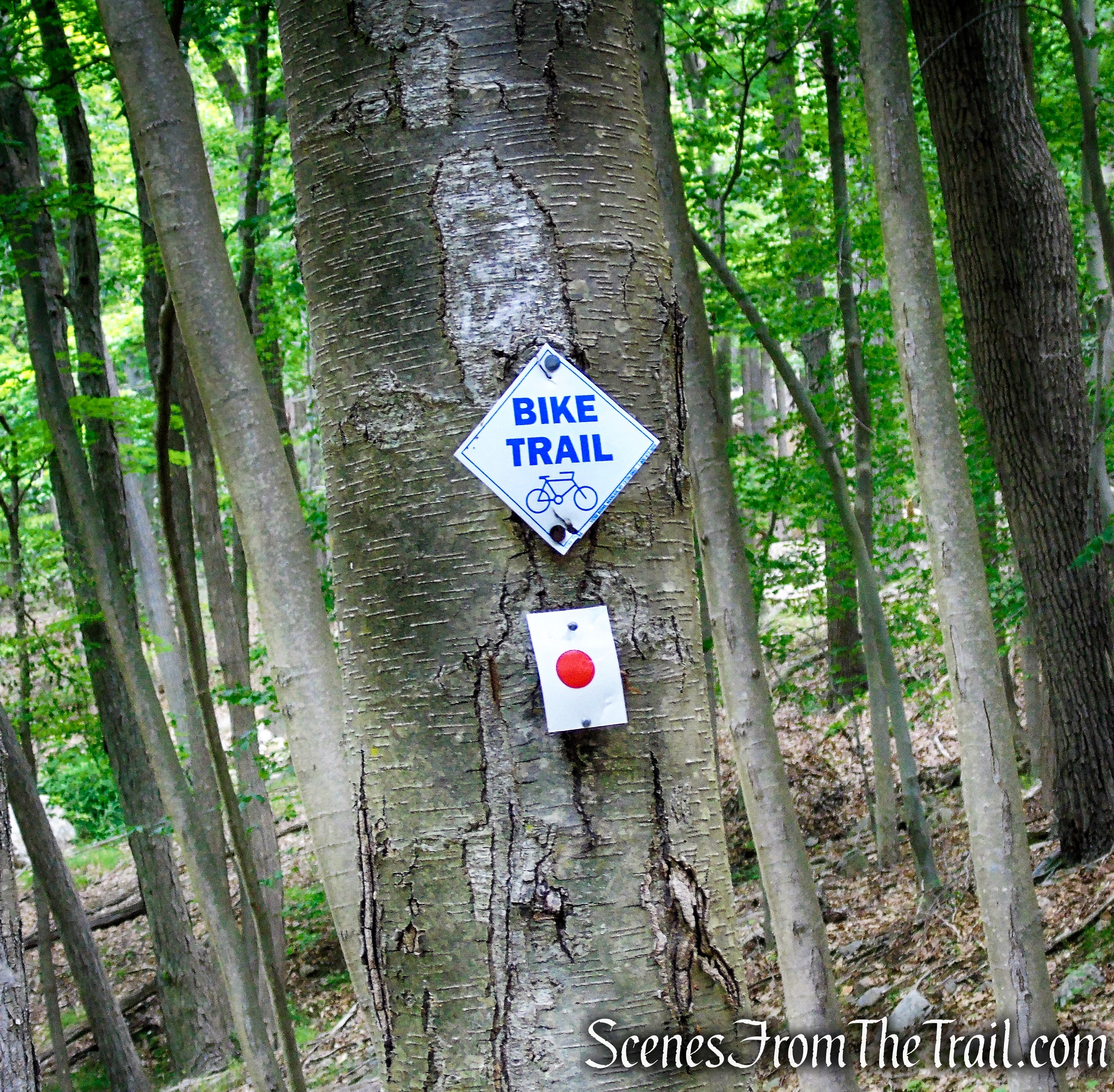 Rampo-Dunderberg Trail – West Mountain