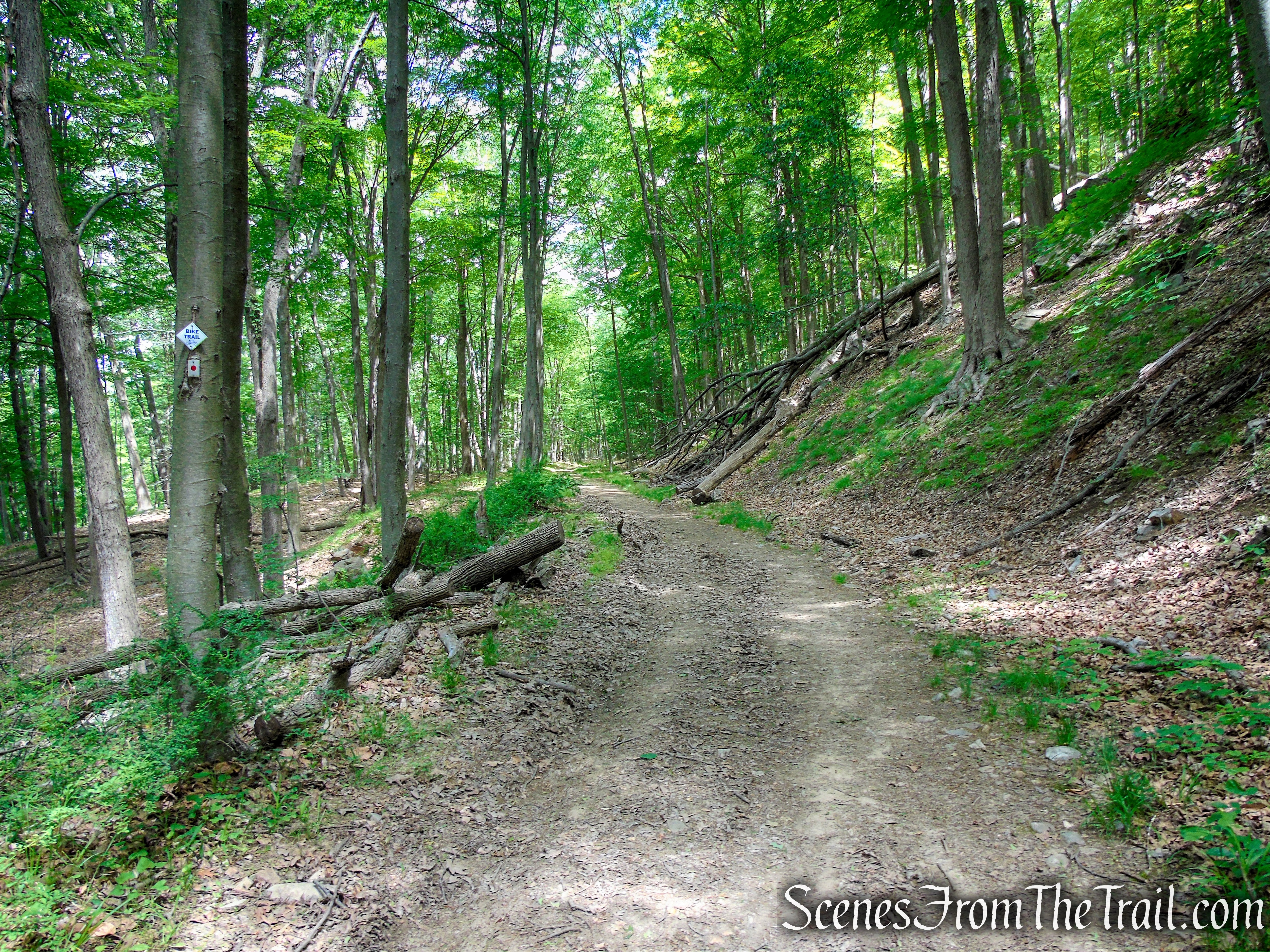 Rampo-Dunderberg Trail – West Mountain