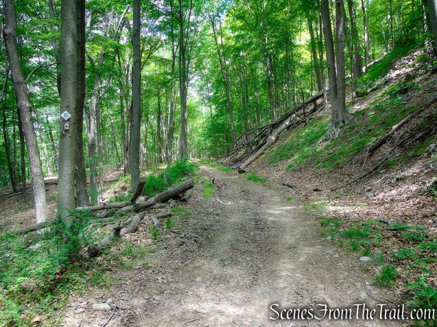 Rampo-Dunderberg Trail – West Mountain